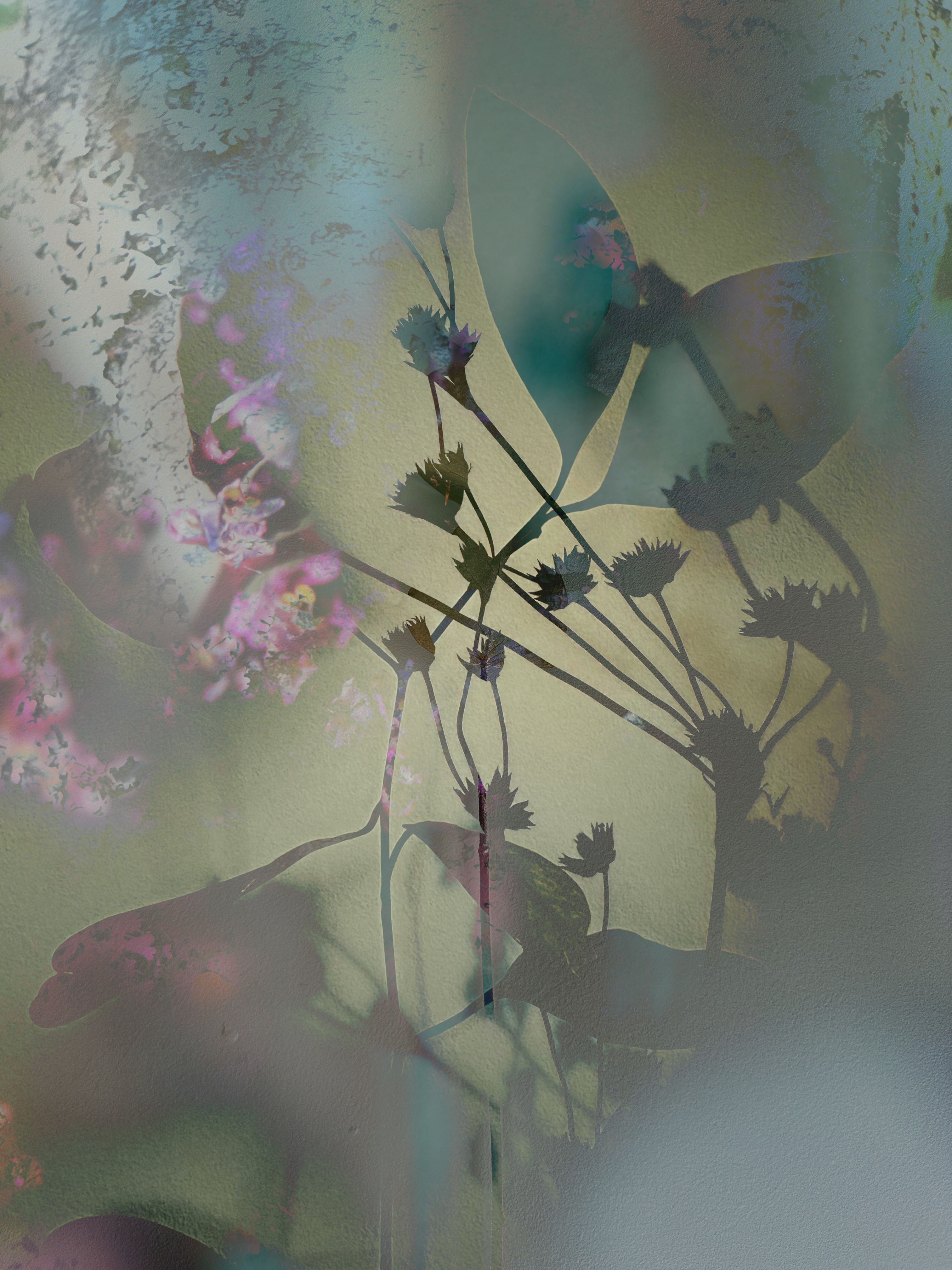 Shadows on the Wall #13