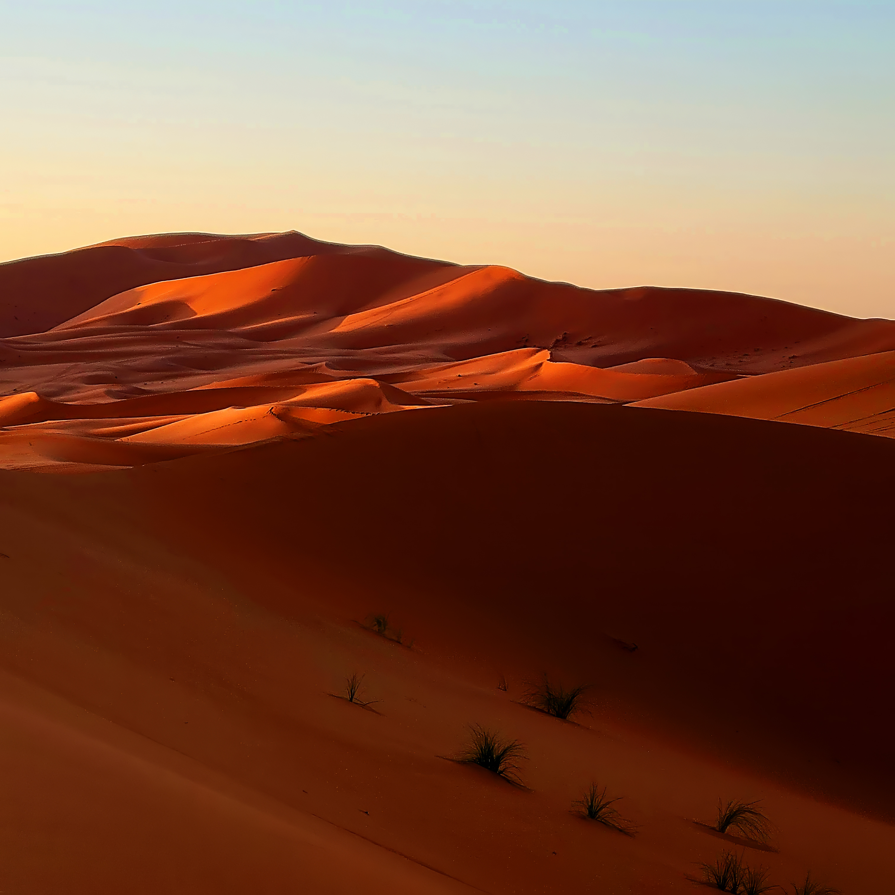 Waves of the Desert #54