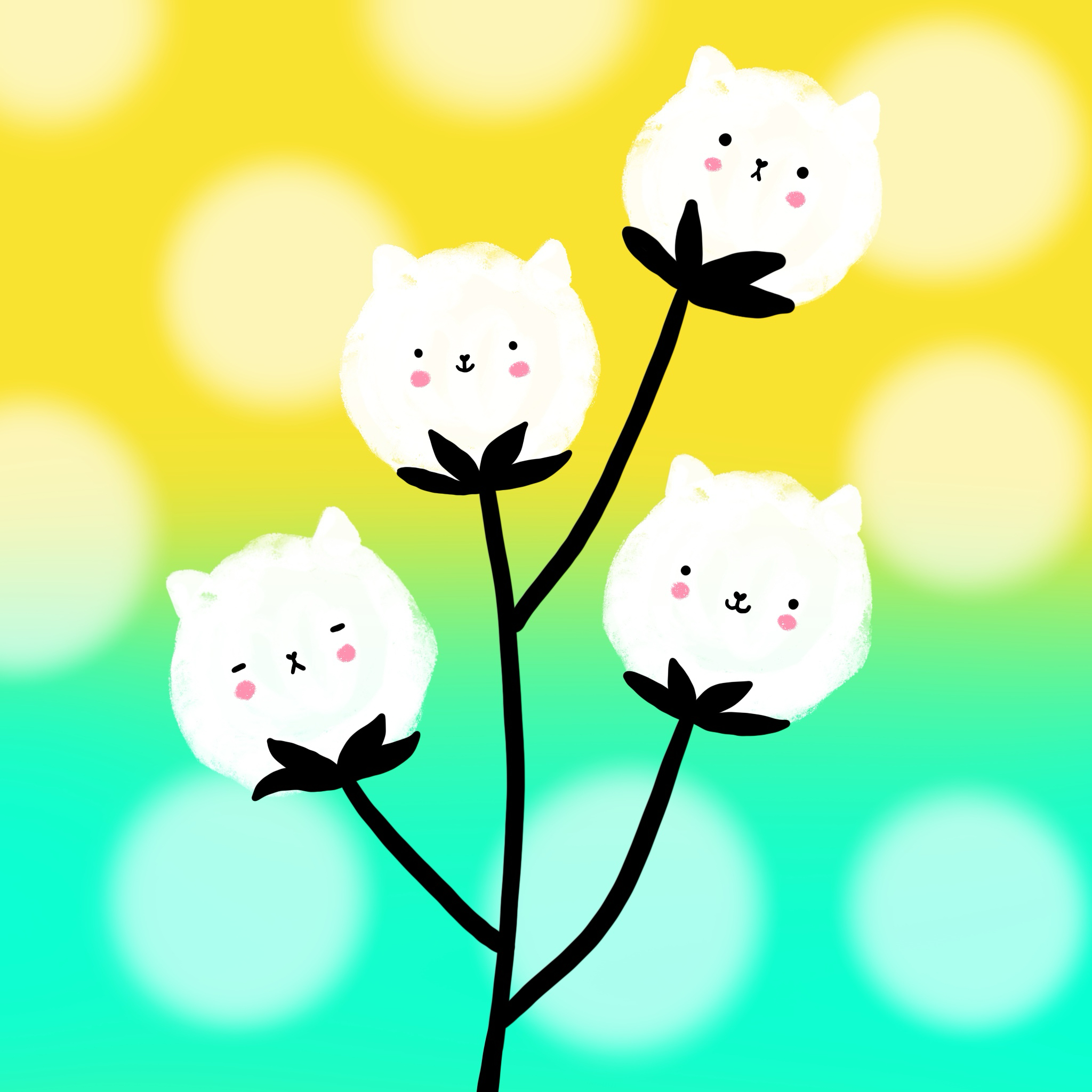 Cotton Cat