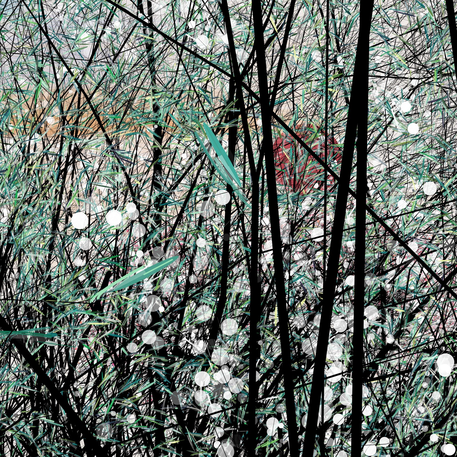 conversation with the wind