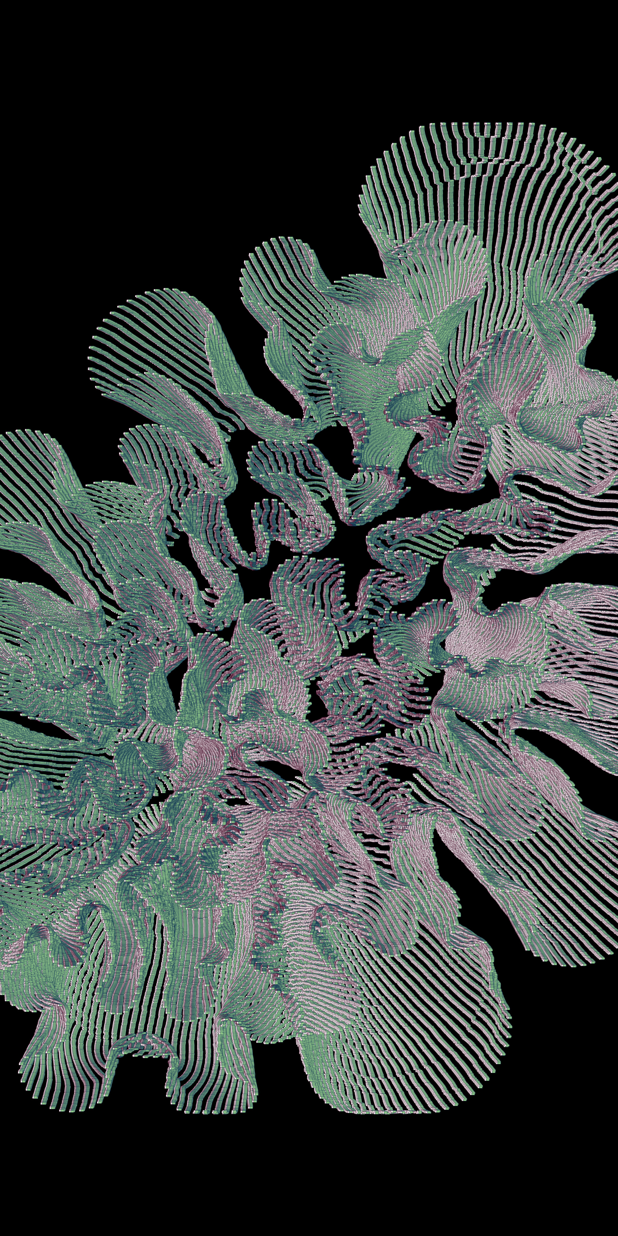 CP Untitled17 Fragment