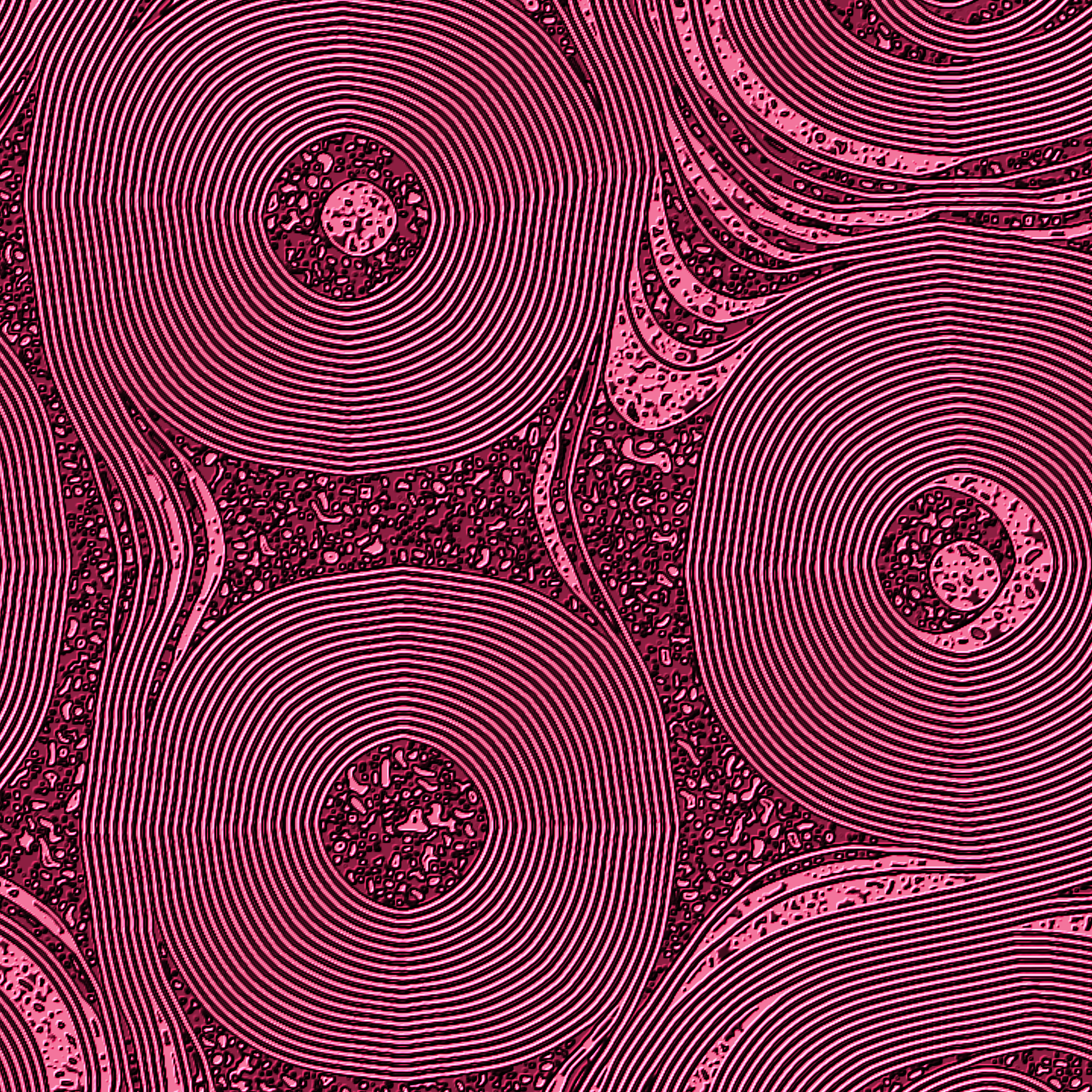 Java Cellular Automata experiments
