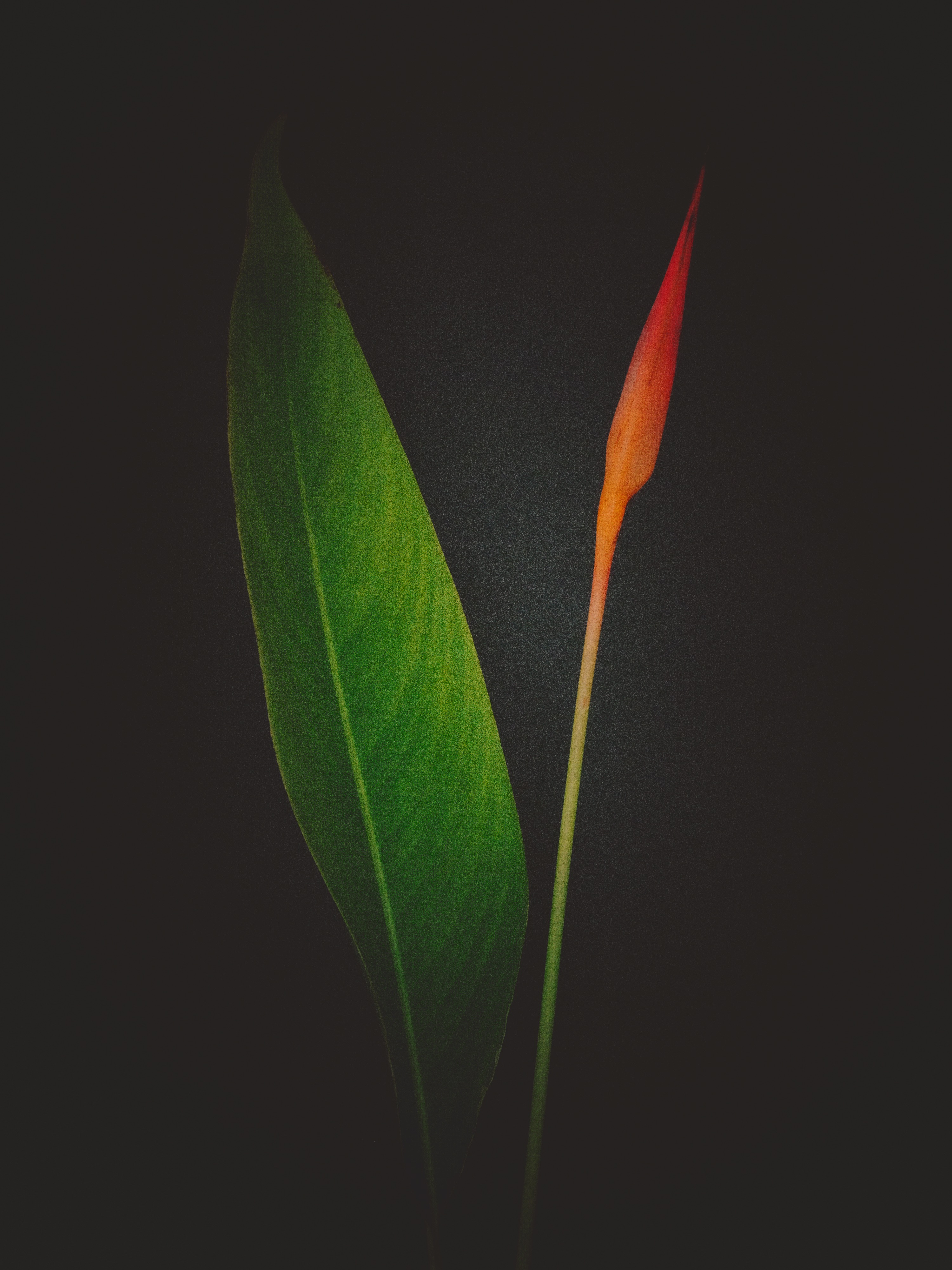 The way you look at me