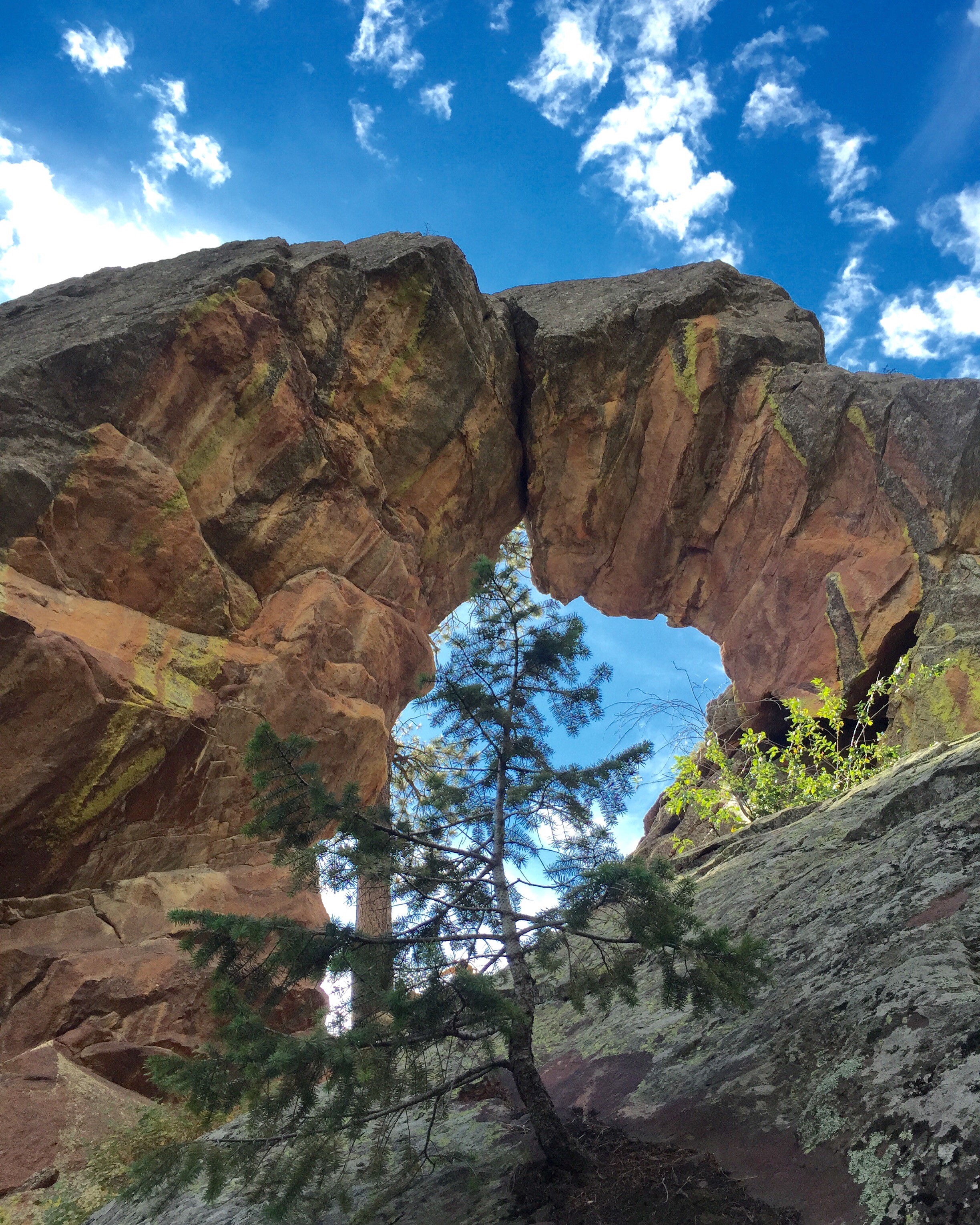 Royal Arch #2