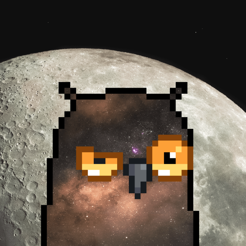 Galaxy Birdz #91