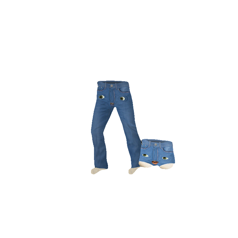 Prancing Jeans