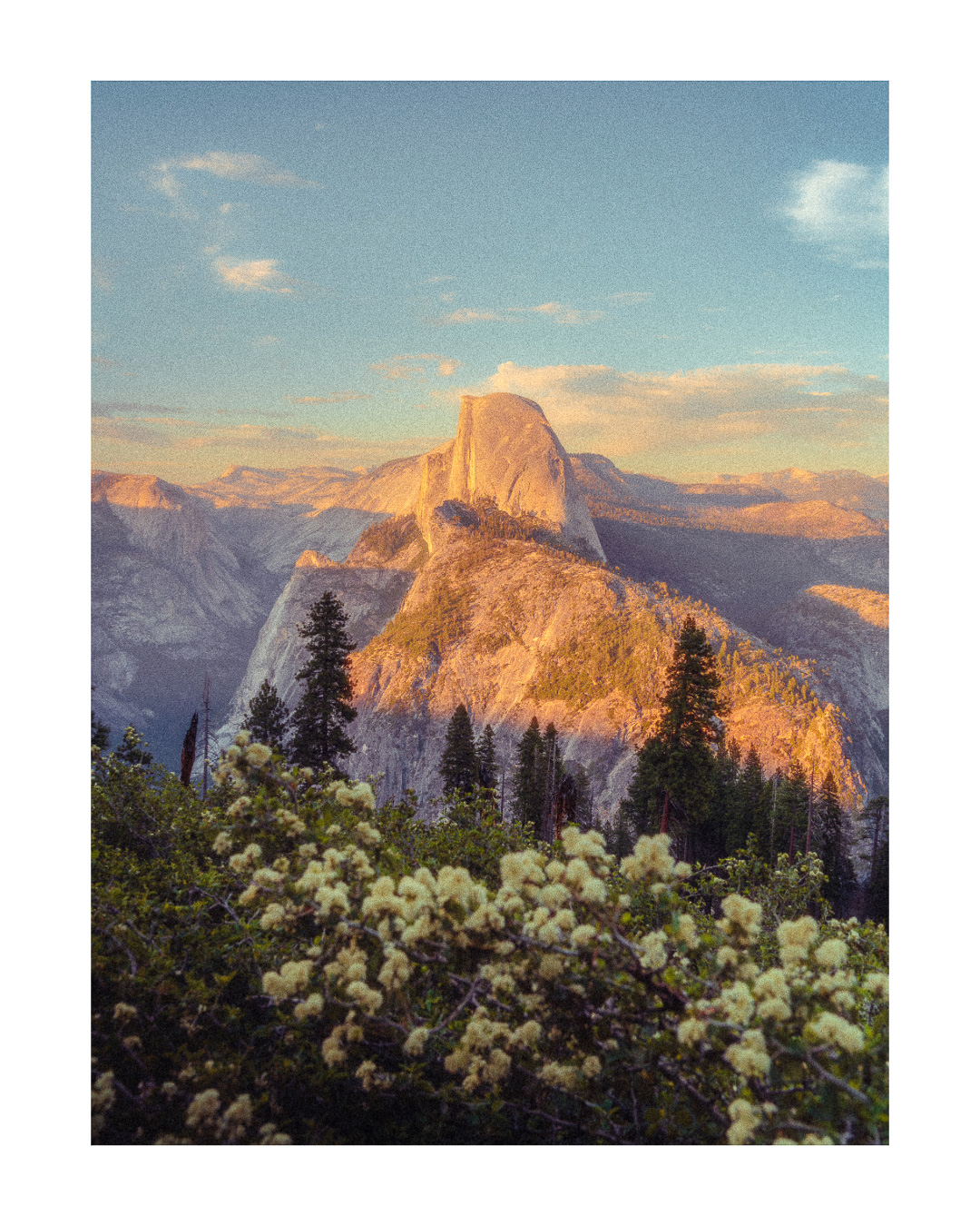 Forgotten Frames — 025