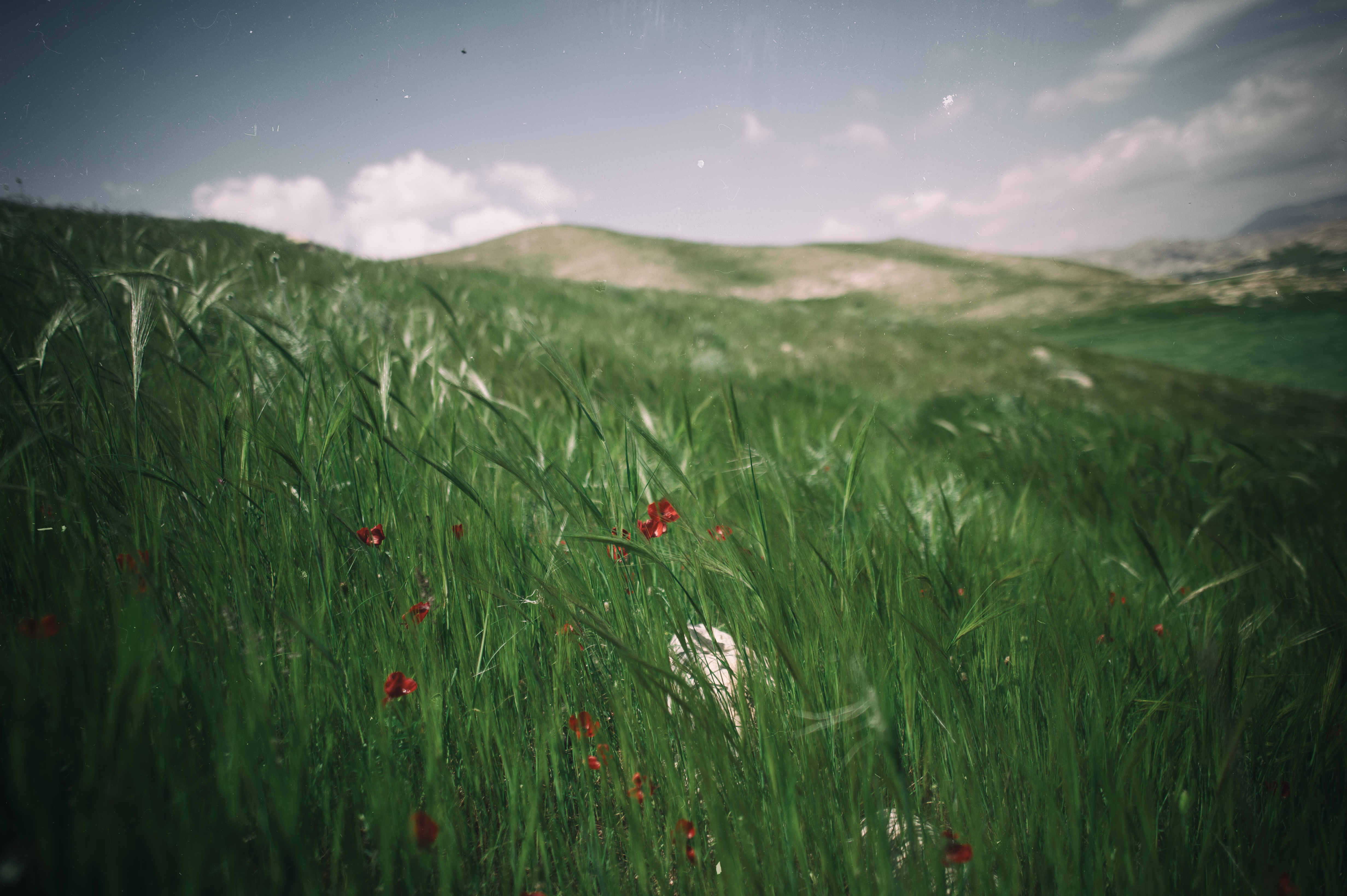 Spring