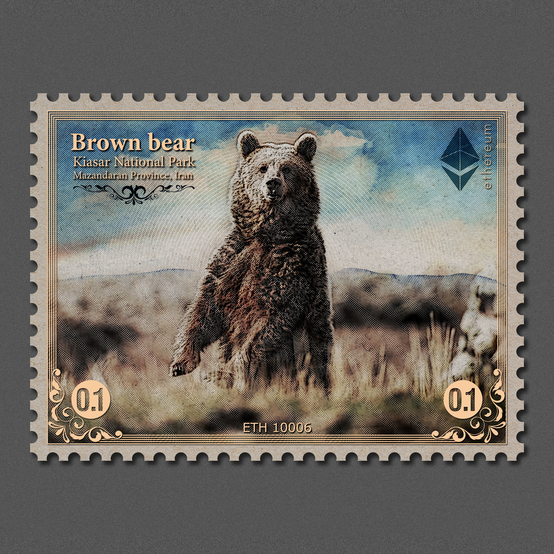 Brown bear