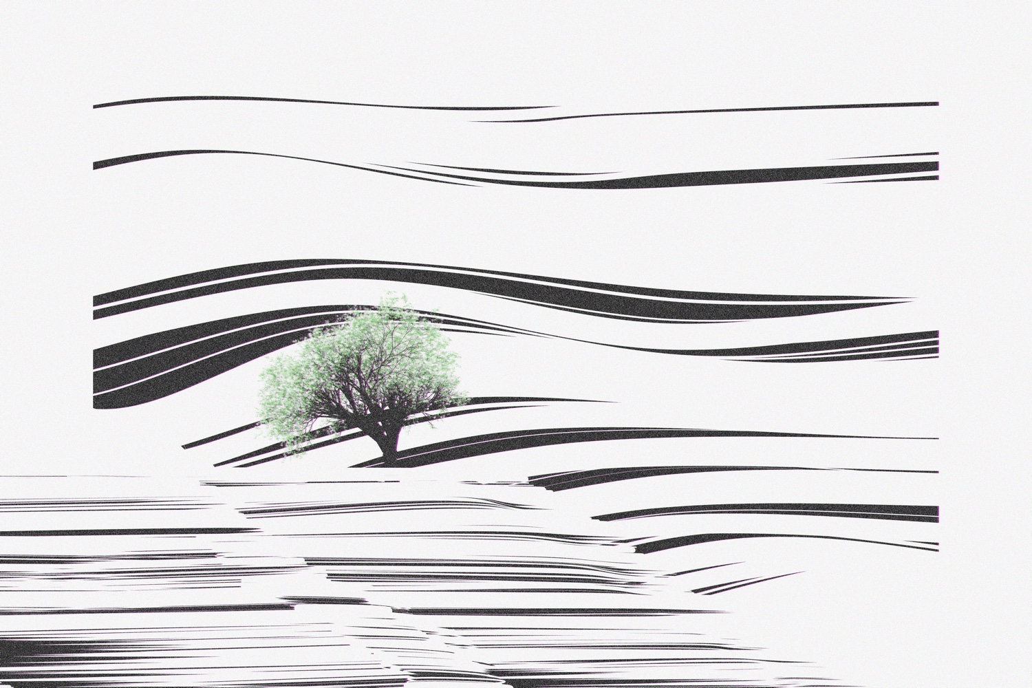 A tree in the distance