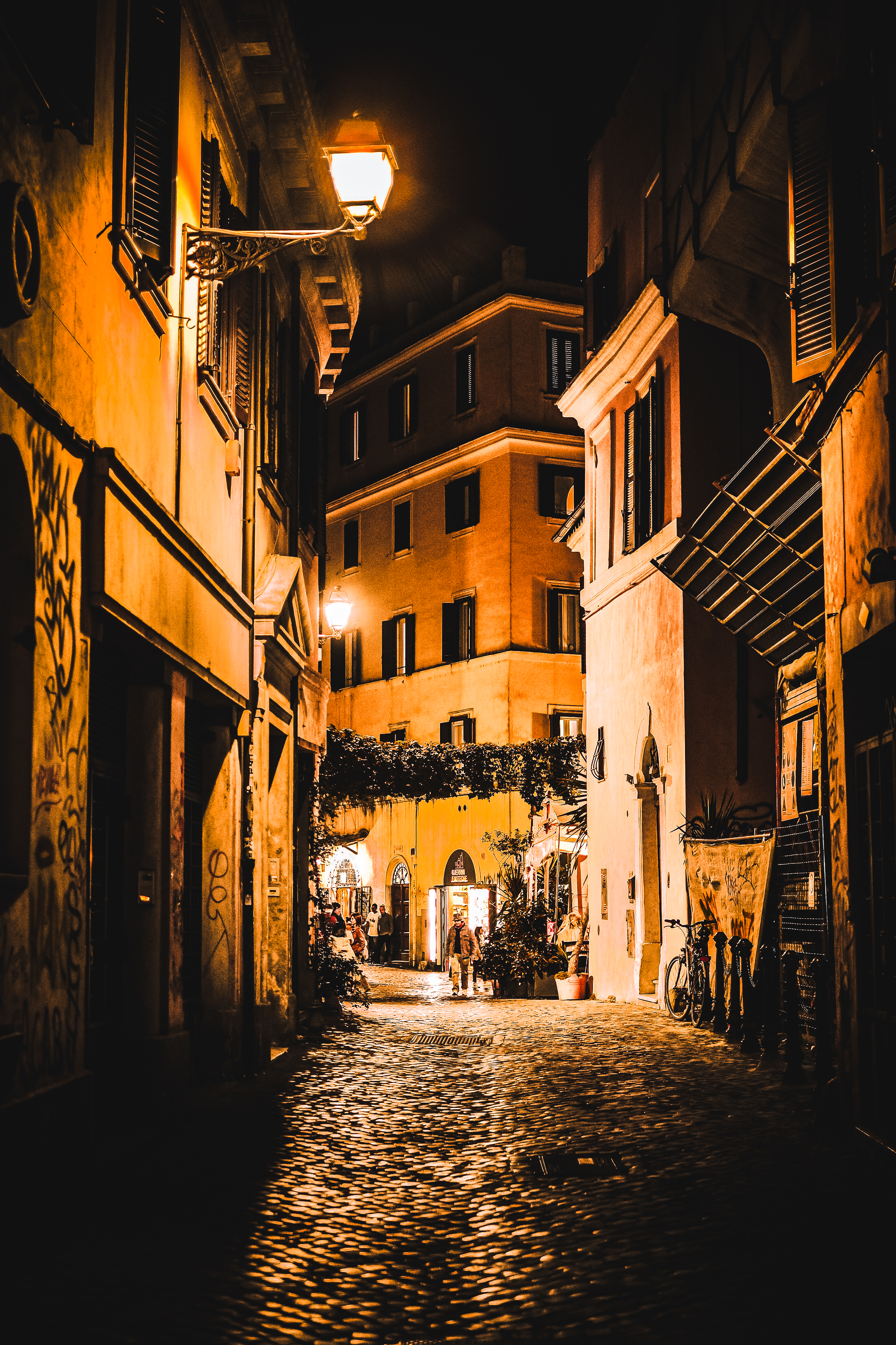 in the maze🚶‍➡️