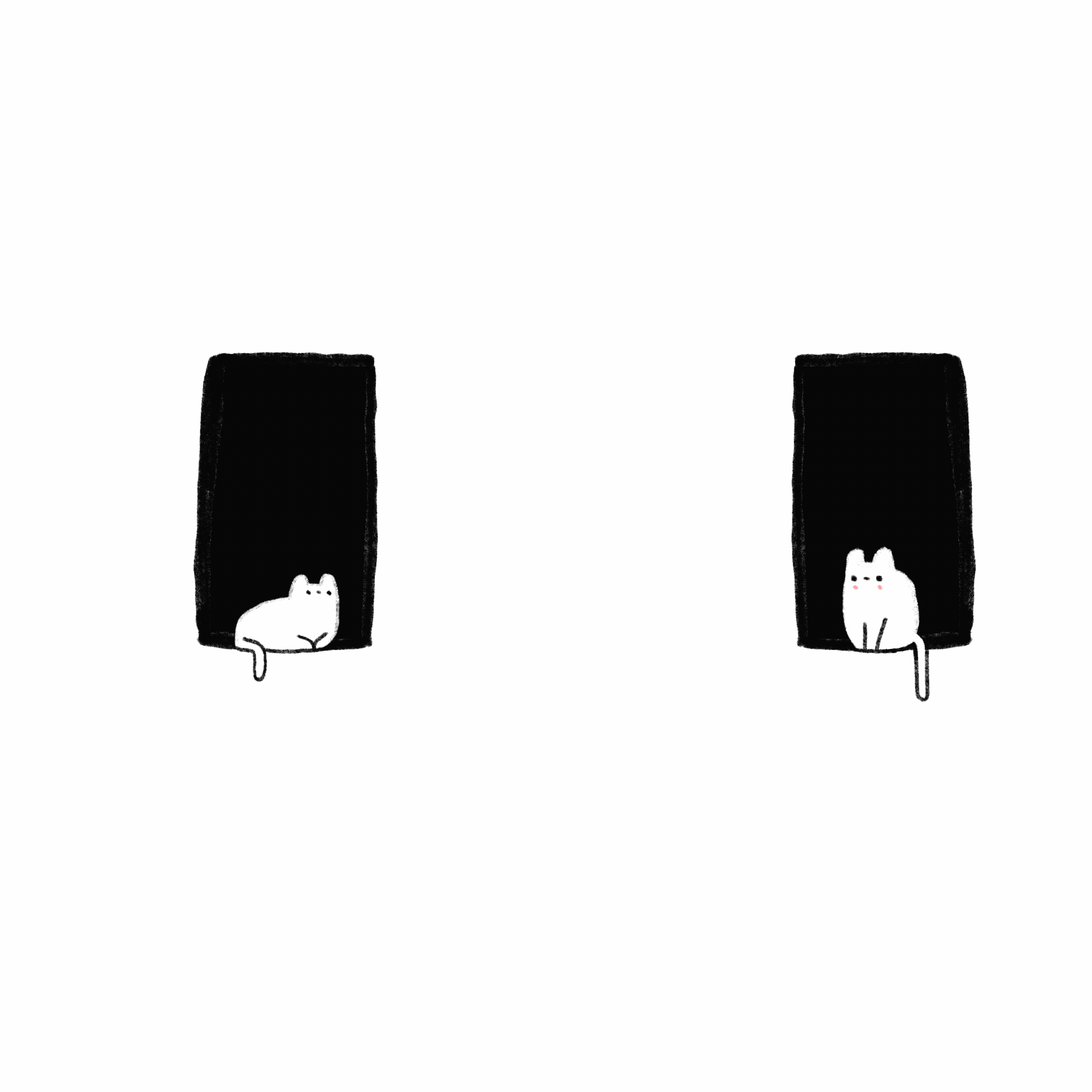 Cats in the window No.58