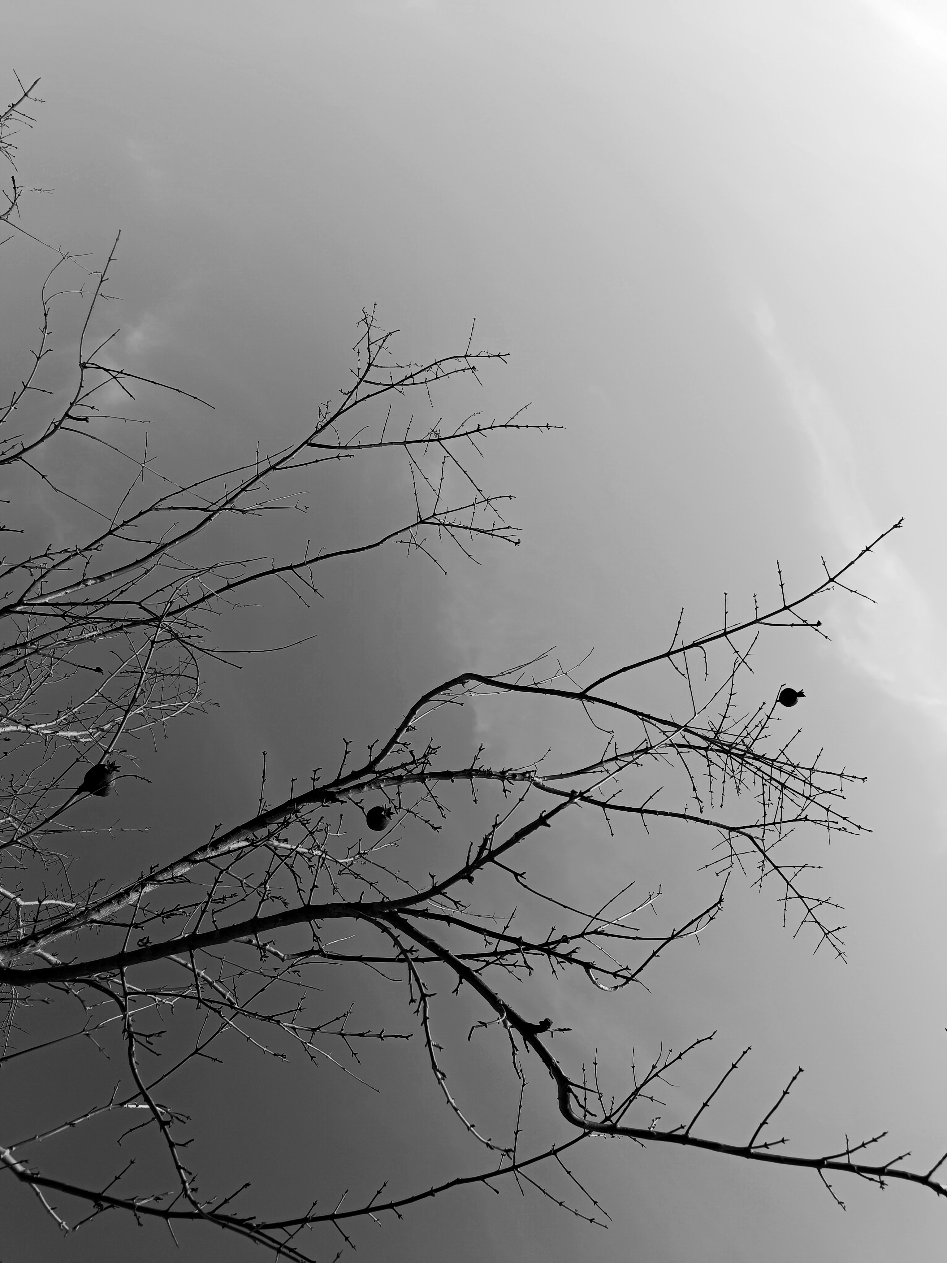 Resilience in Winter ✨ #7