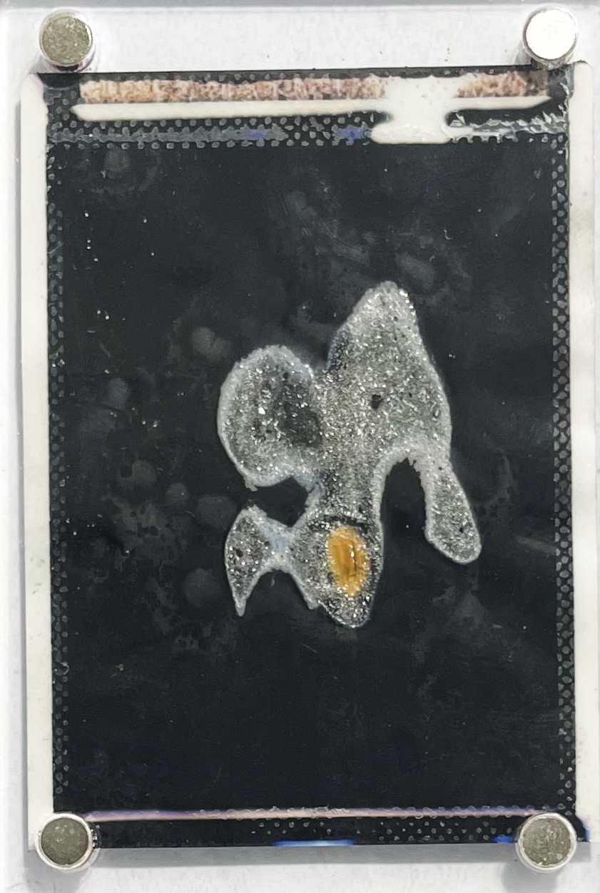 A frame in time (51/108)