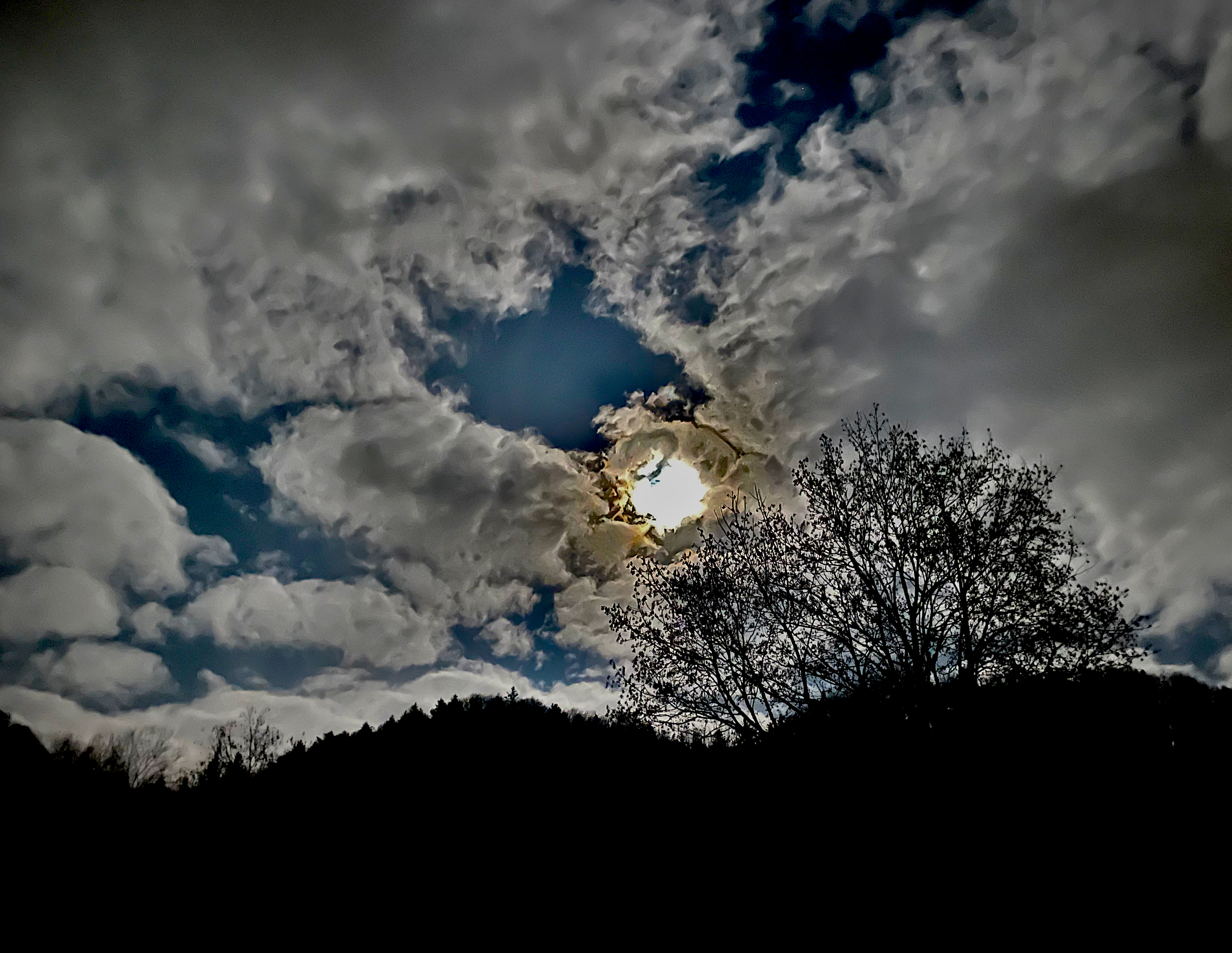 Surrounded by Clouds