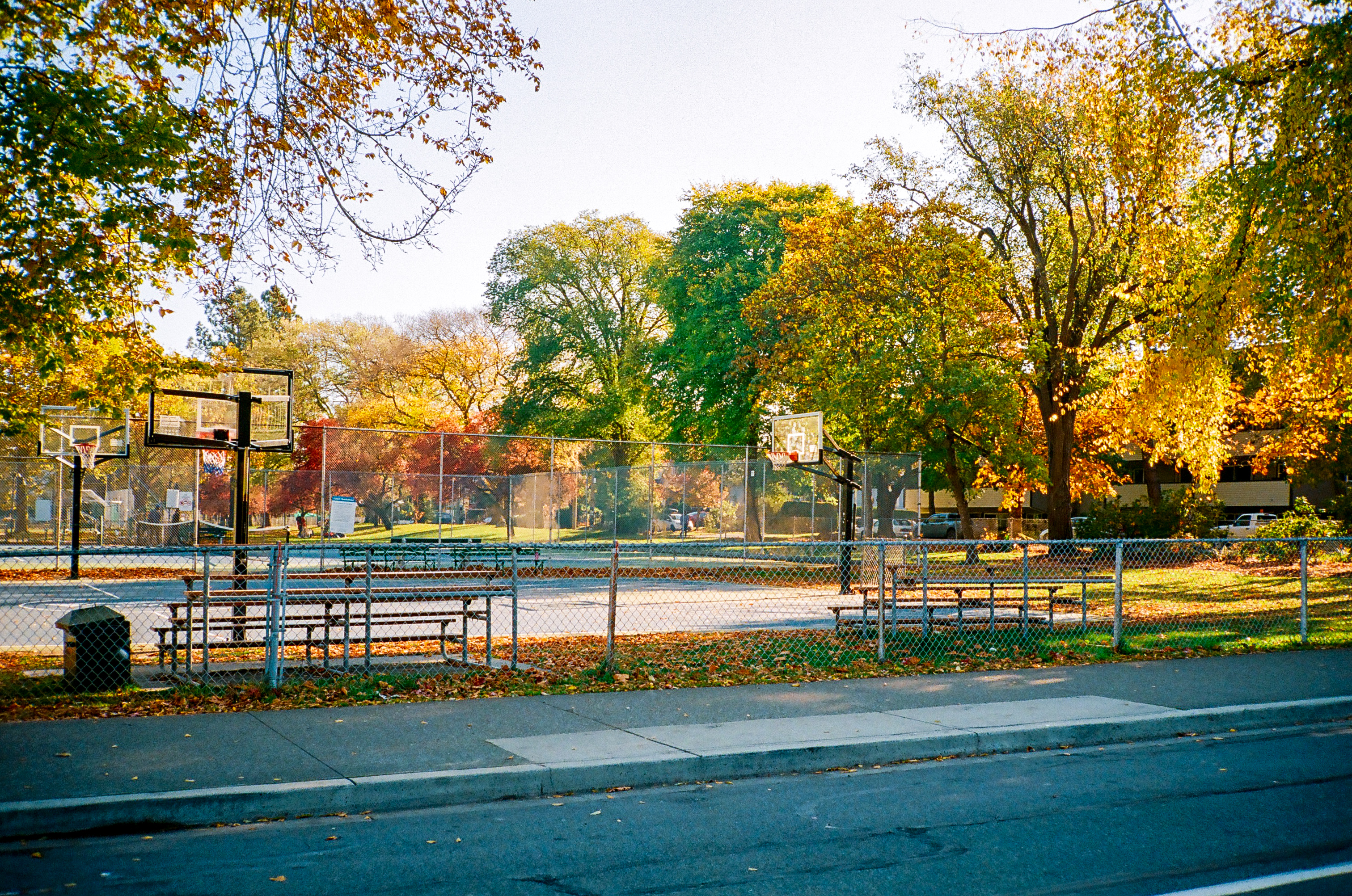 Home court advantage