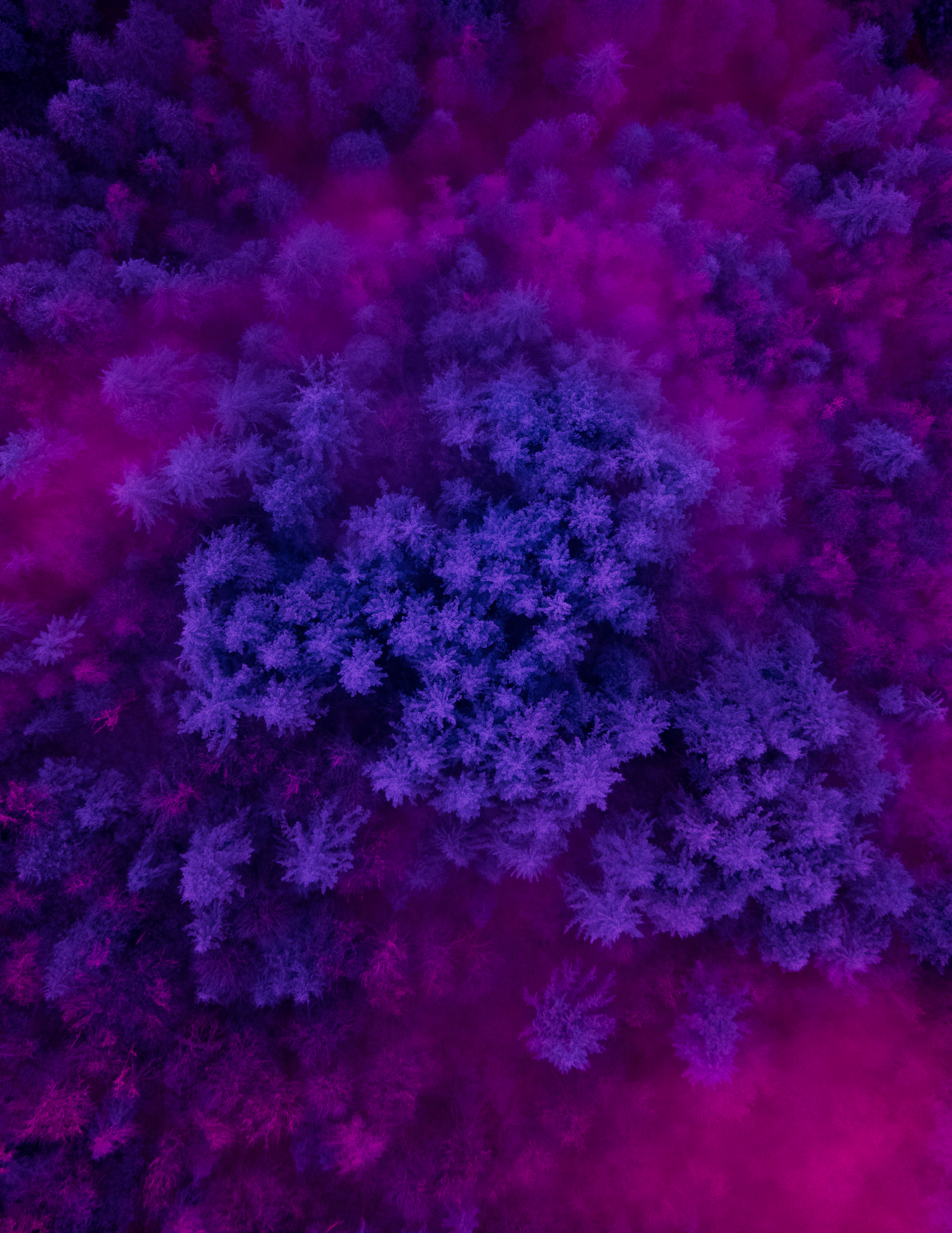 INVISIBLE EARTH 006 //