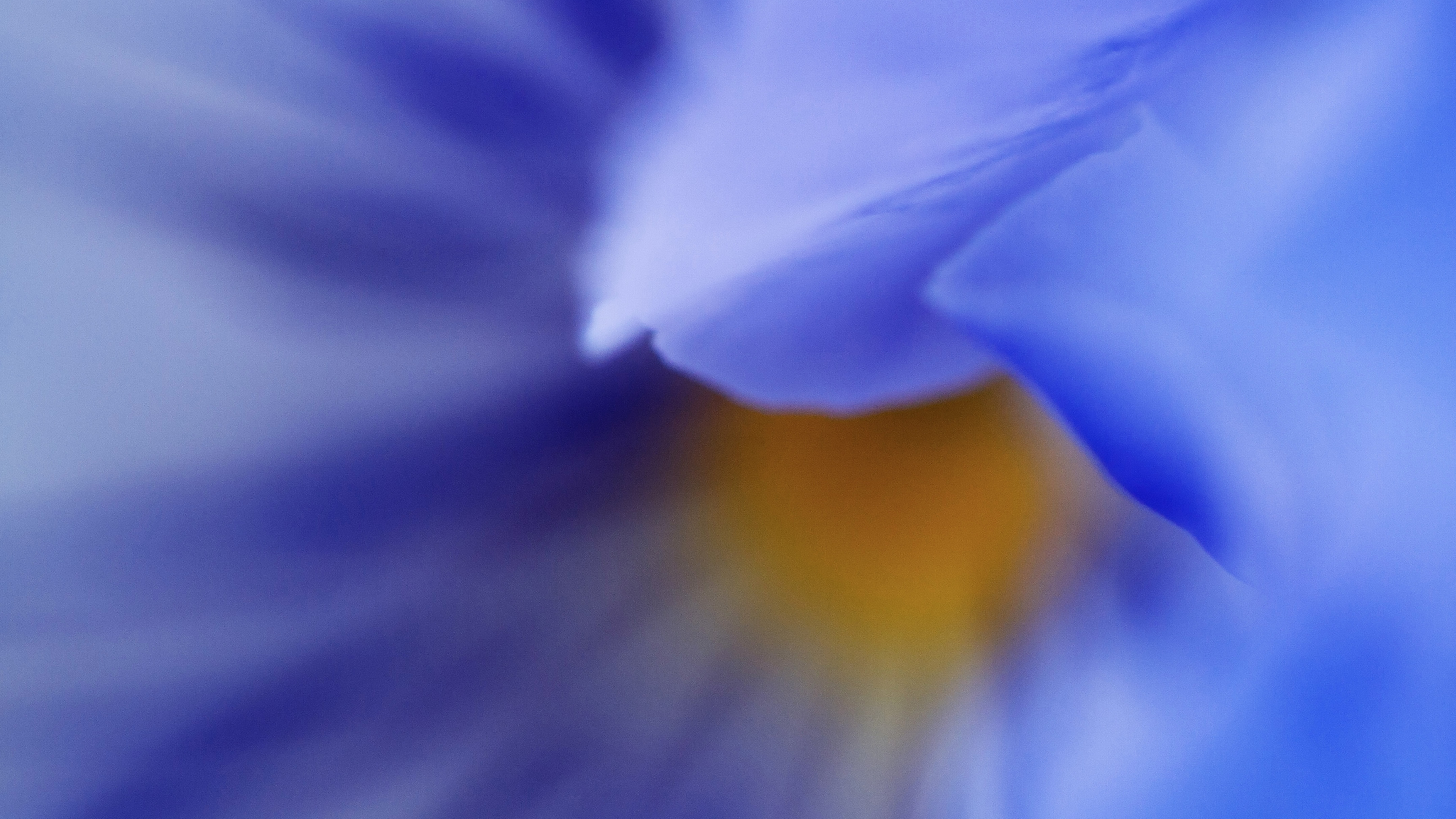 Alchemy of the Heart