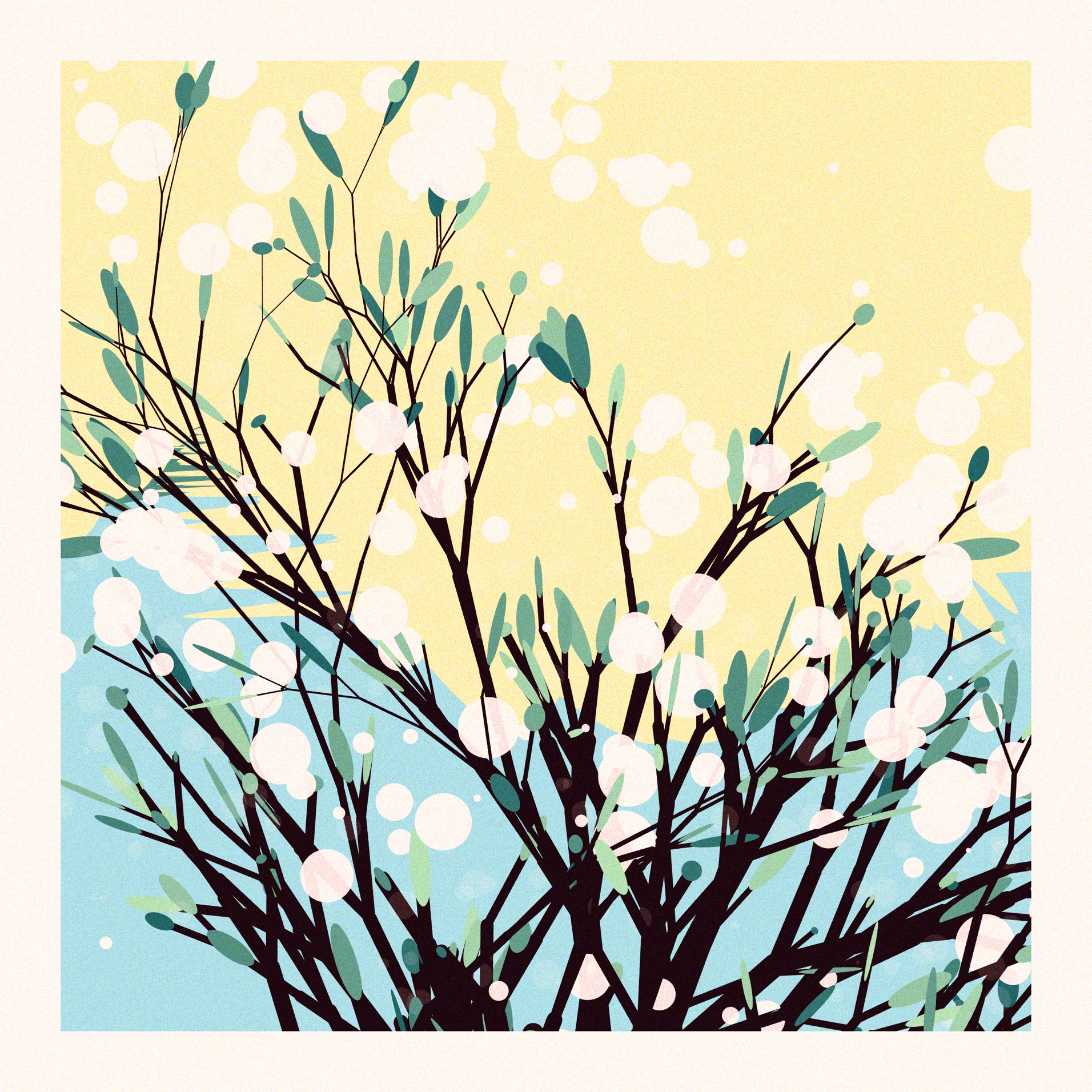 The Blossoms Behind the River