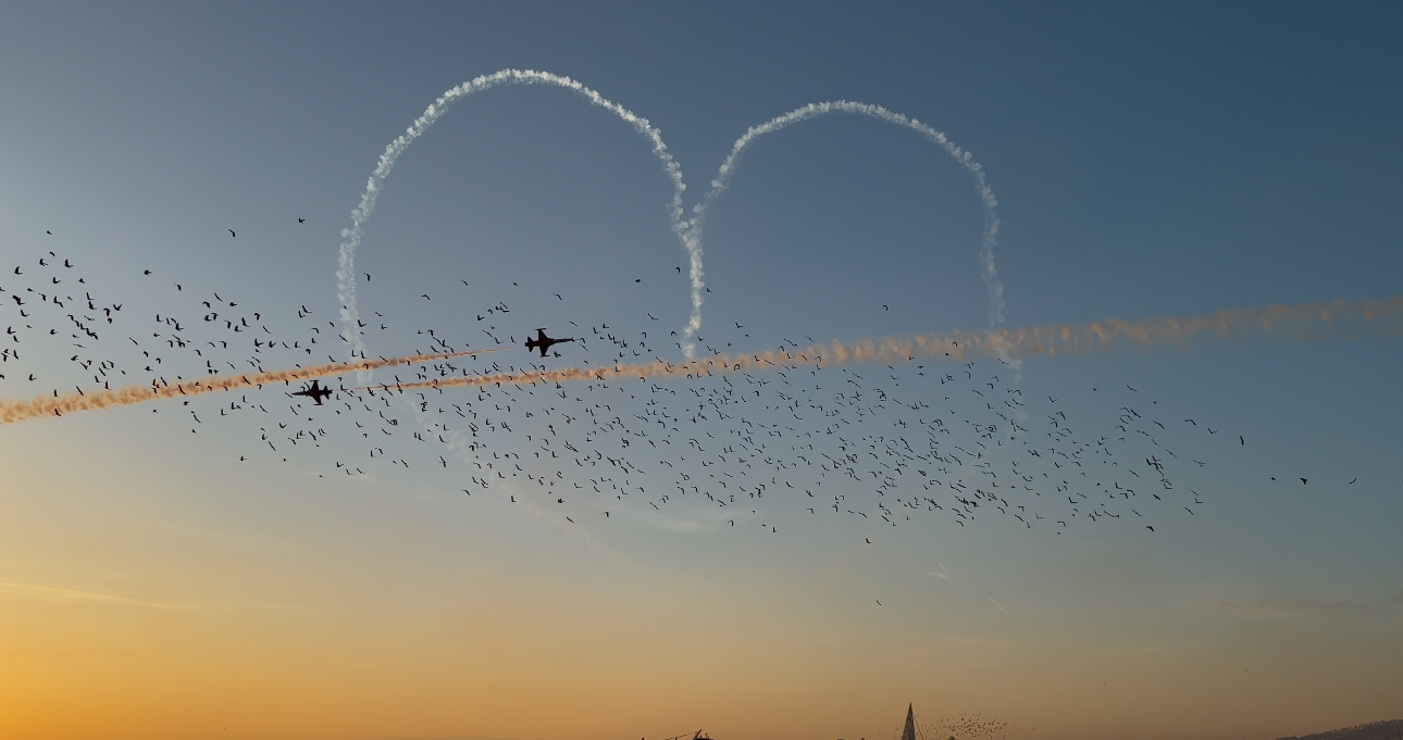 Unity, freedom, patriotism