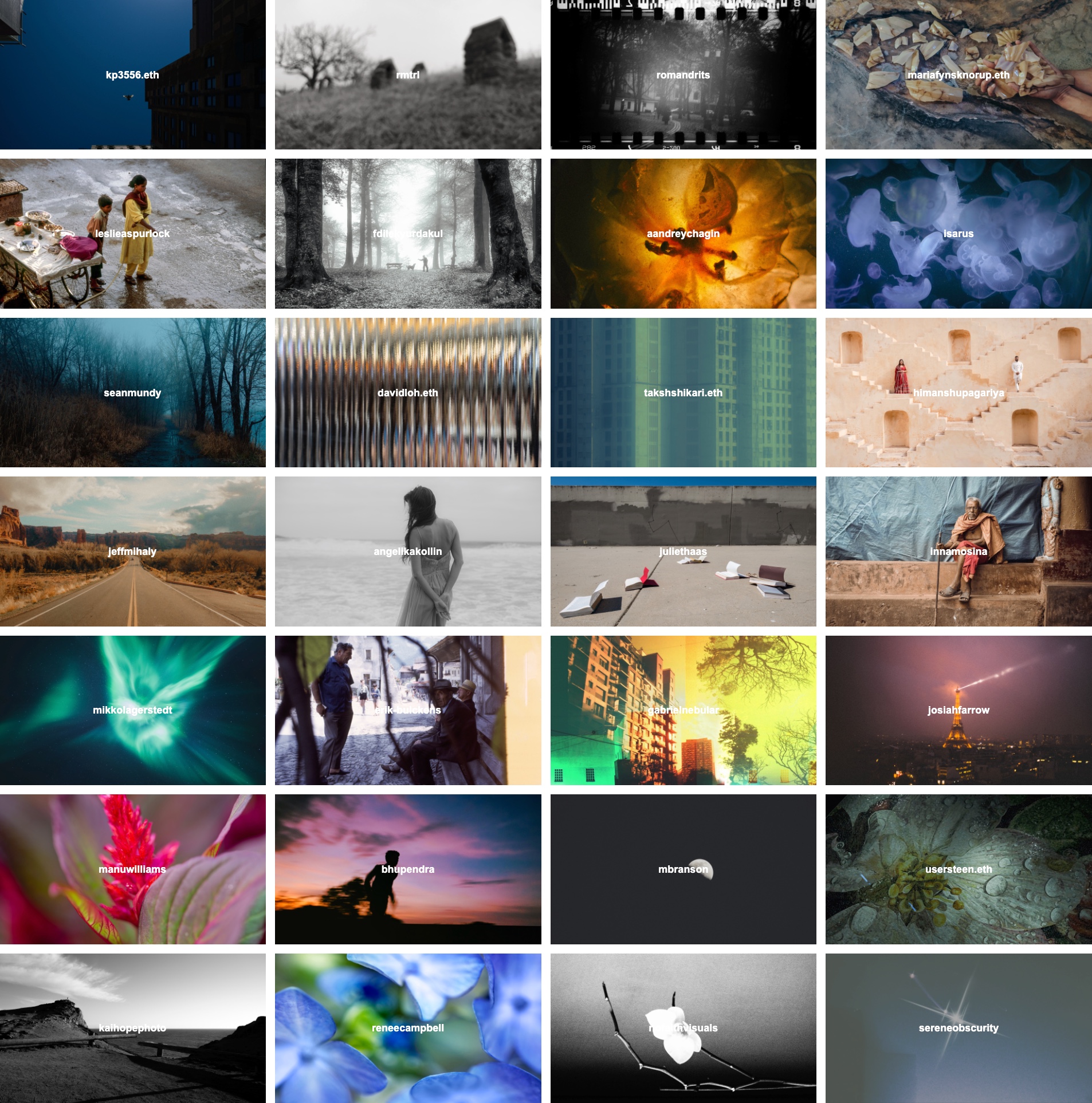 Photosynthesis Artist