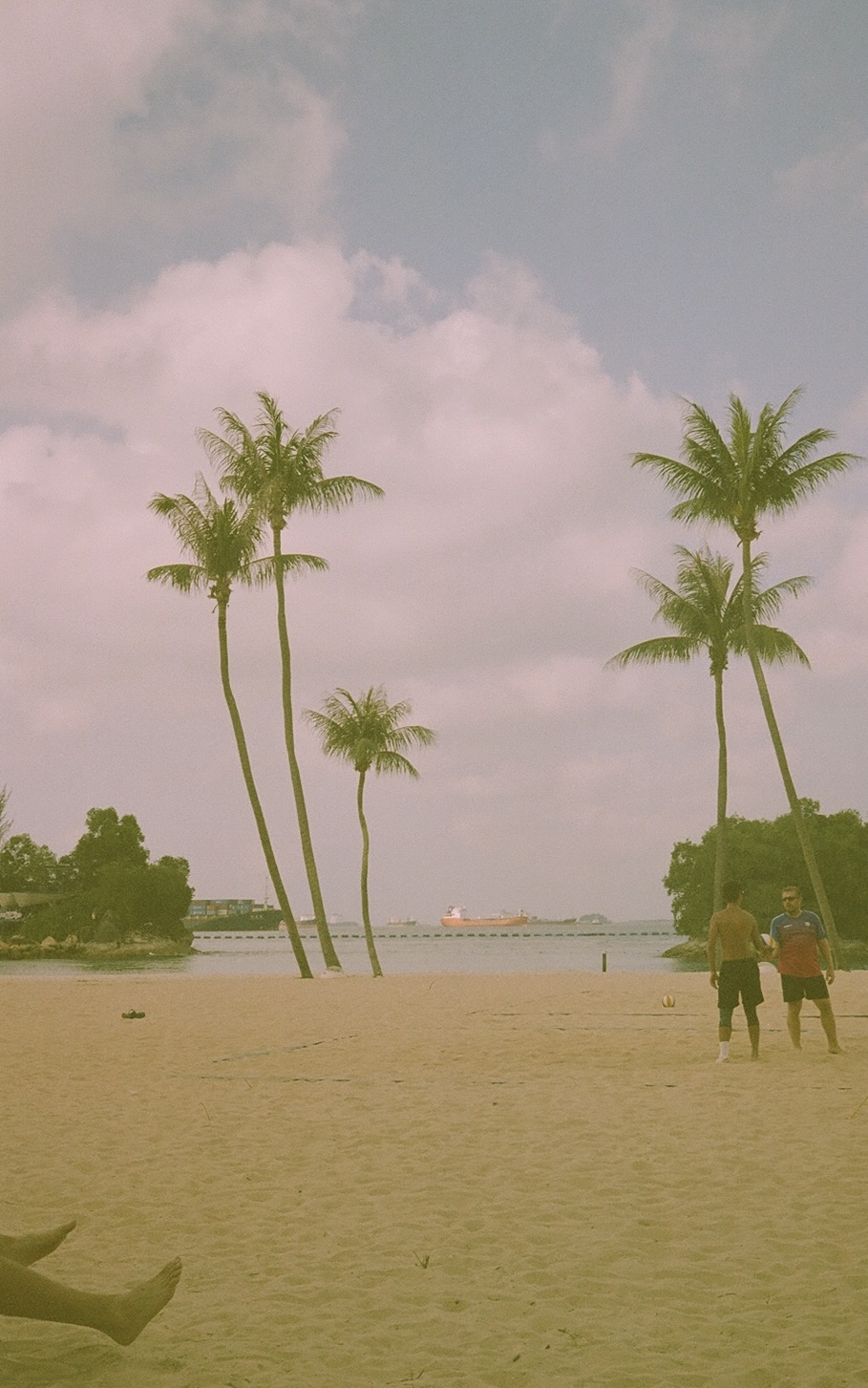 Golden View (Expired Kodak Gold 400)