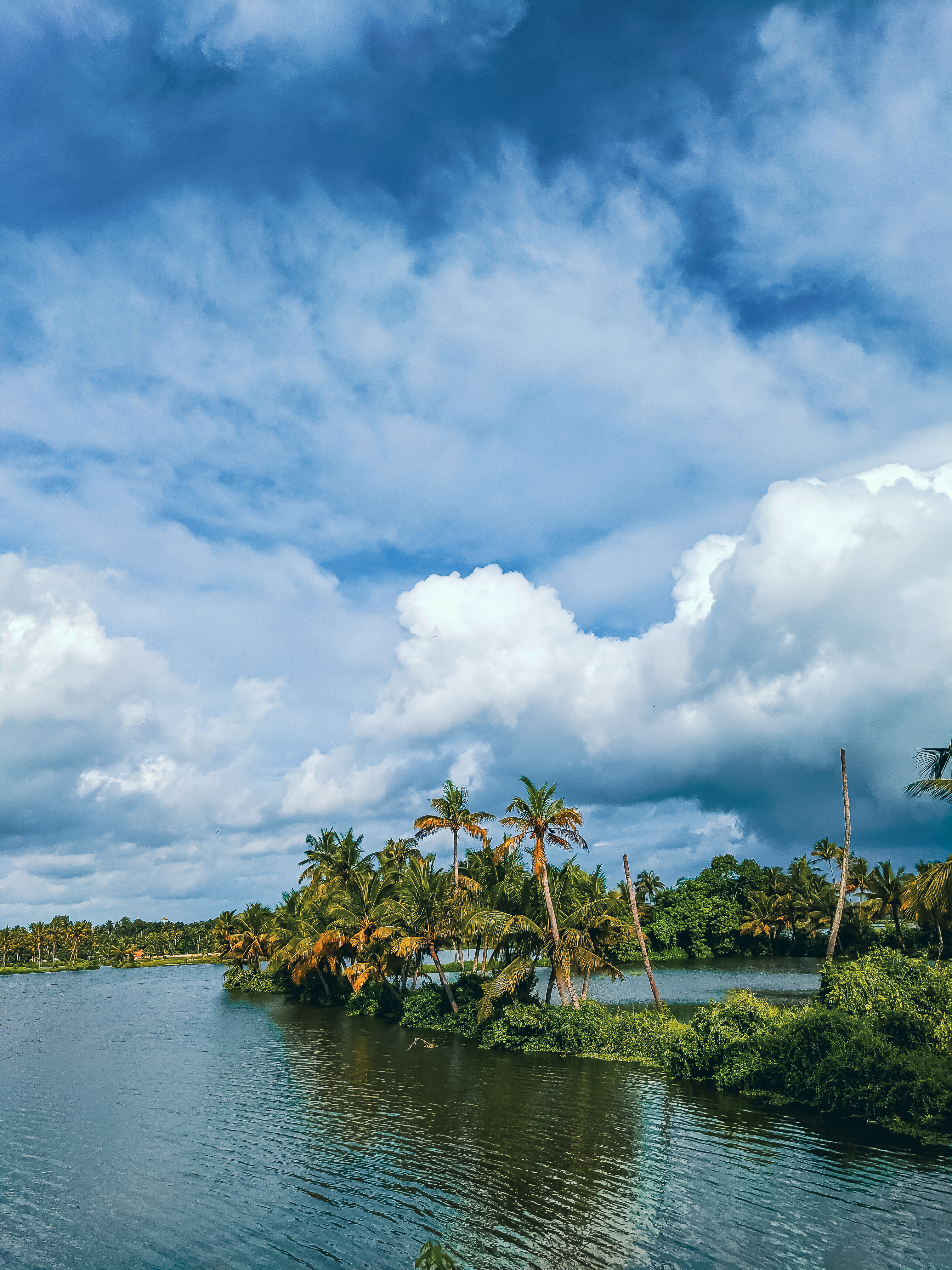 God's Own Country! #28