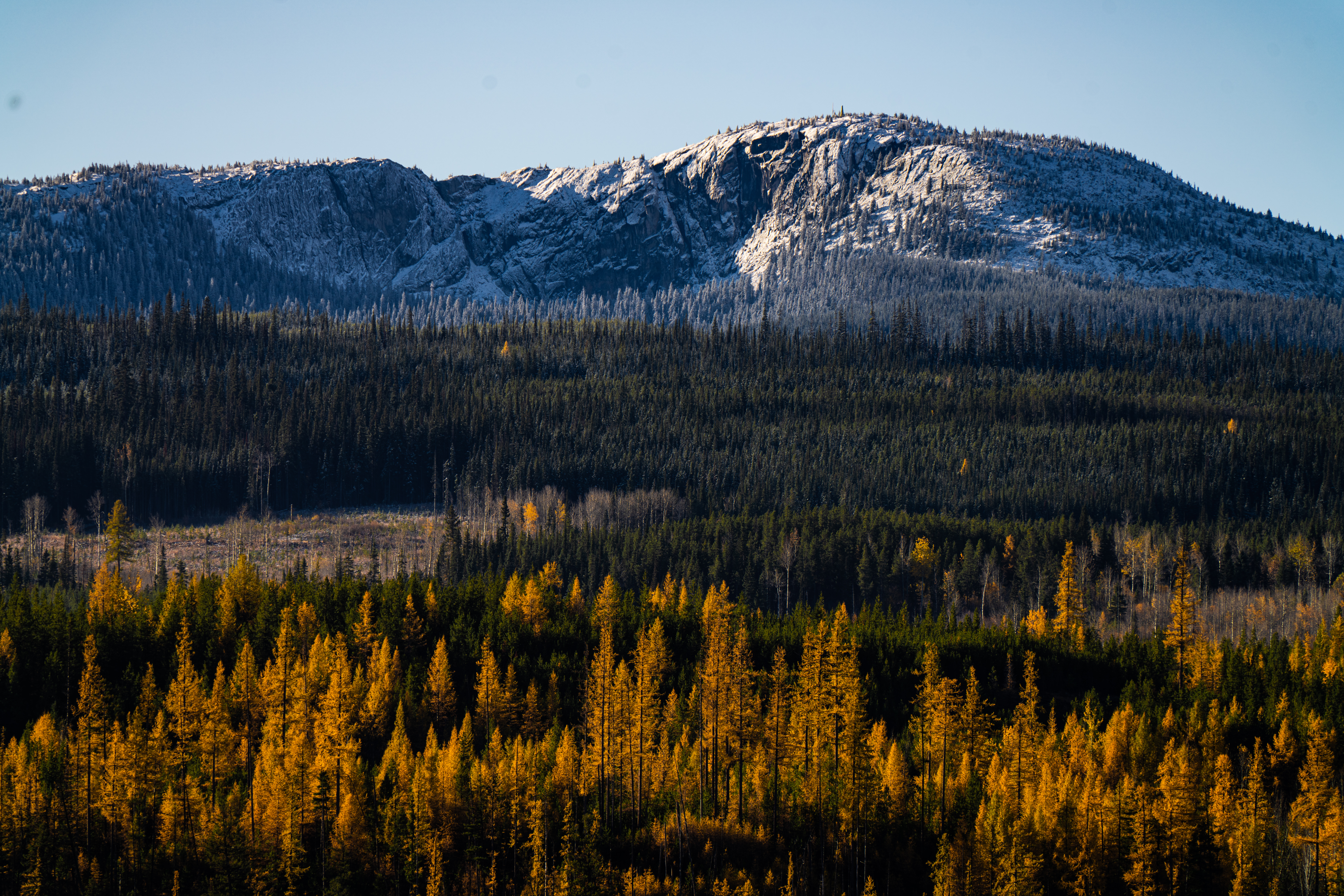 a meeting of the seasons