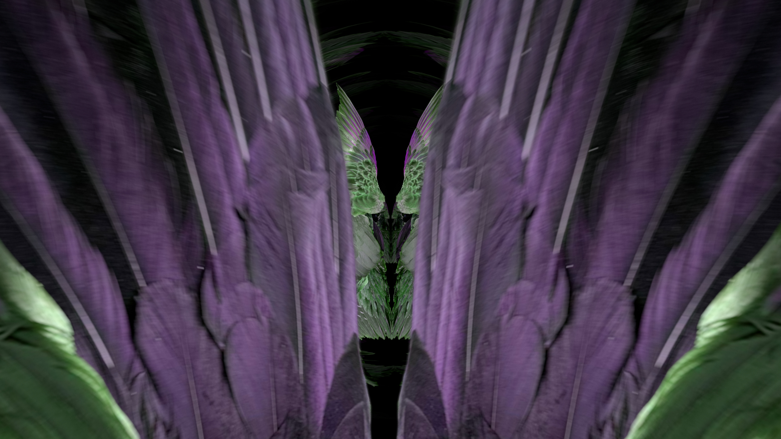 Fuga delle Sirene LXXIX