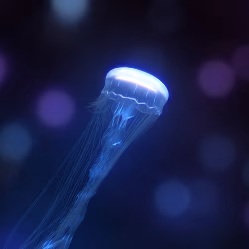 They Show Me the Way