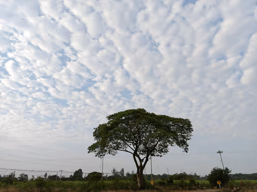sky#3