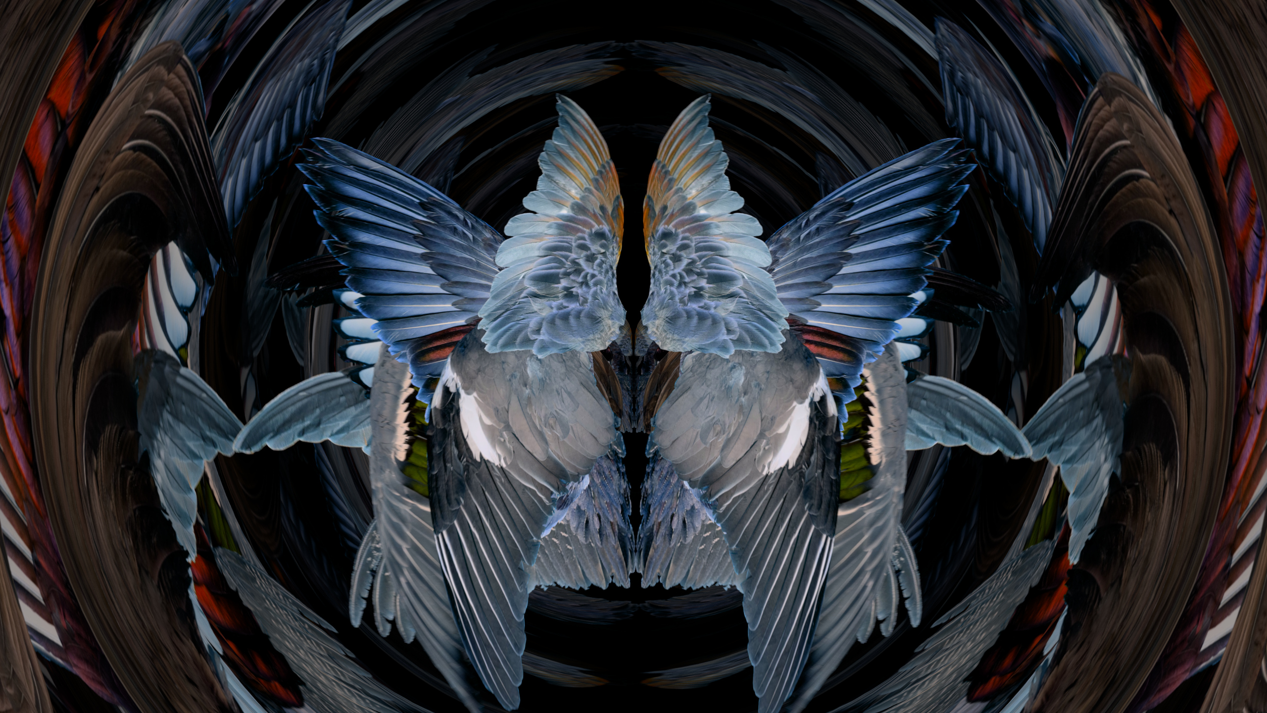 Fuga delle Sirene XXIV