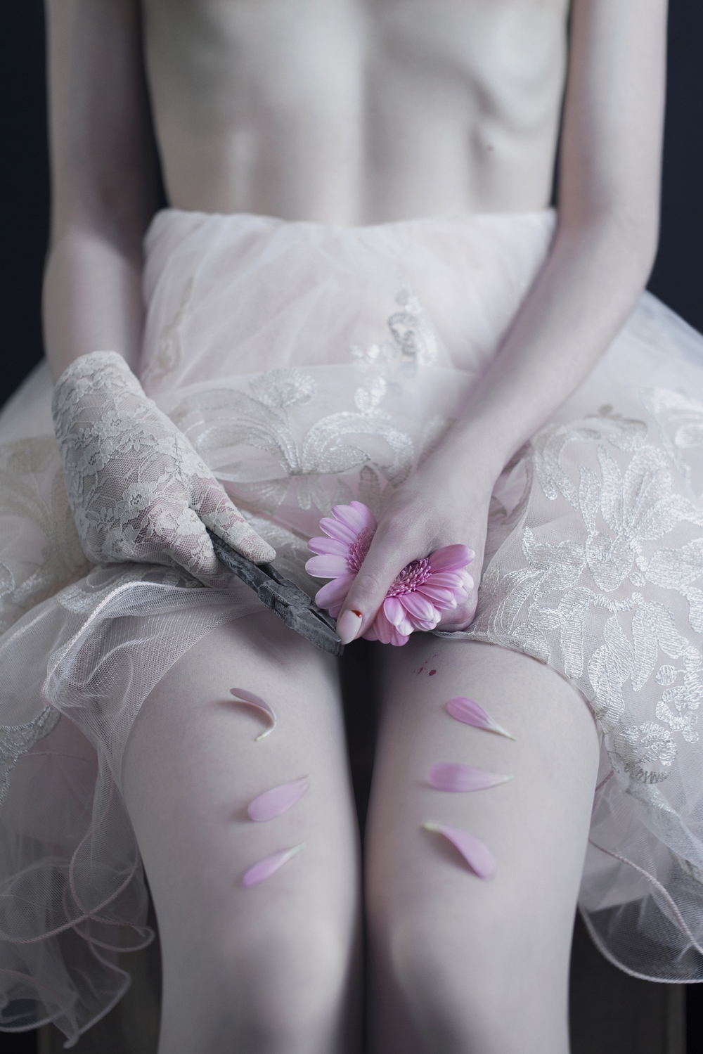 He loves me, he loves me not