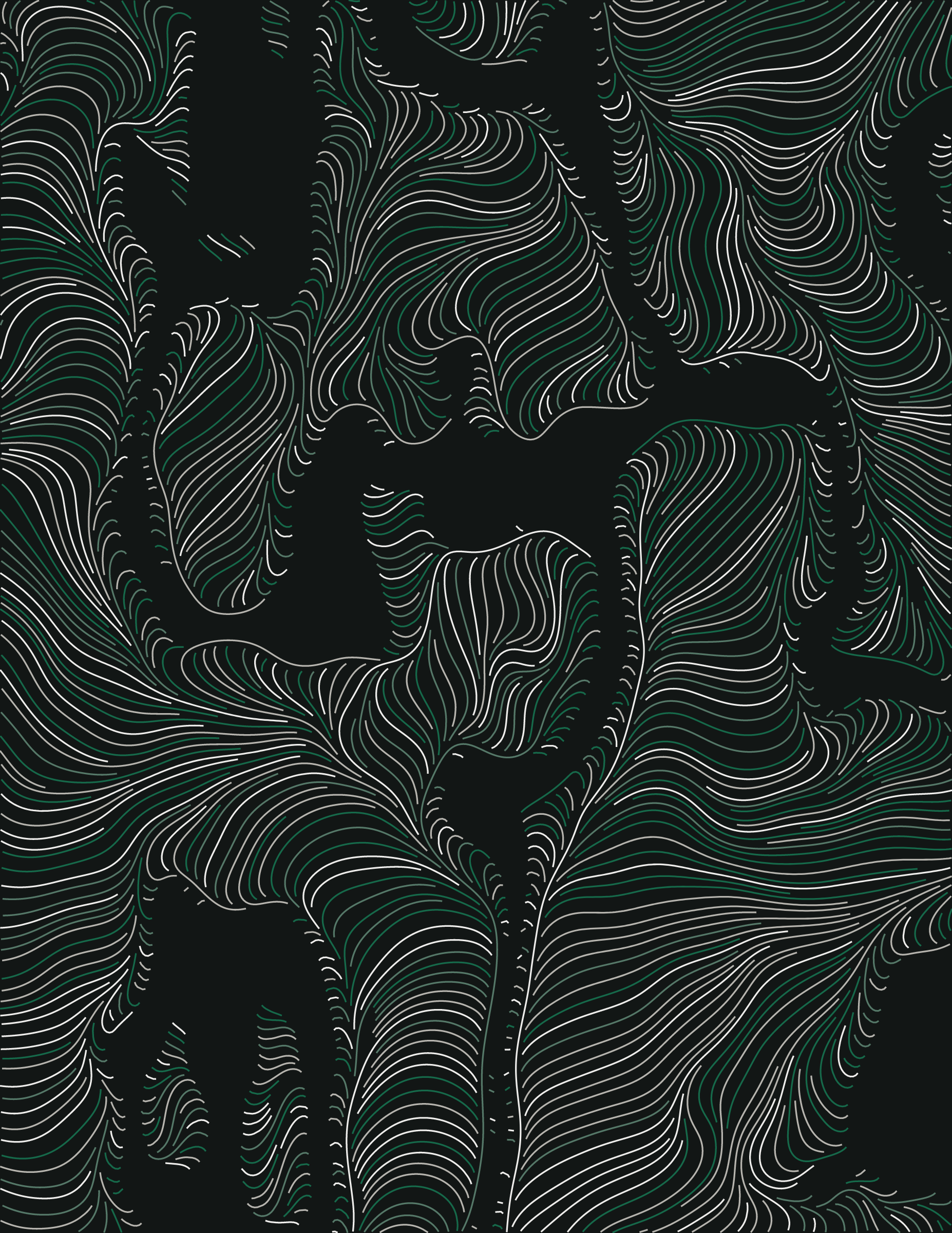 Streamlines #296