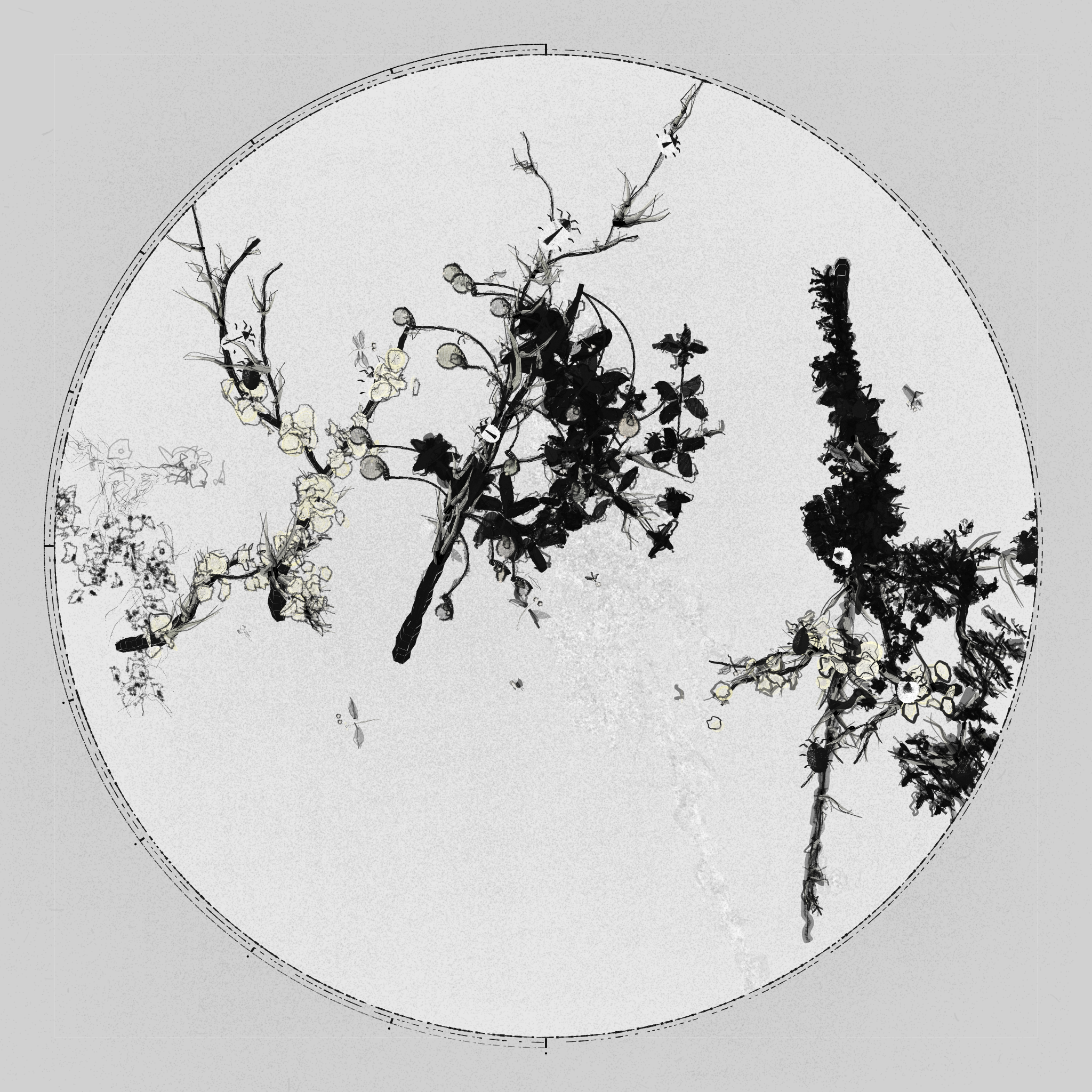 Polypaths | 植徑集 #56