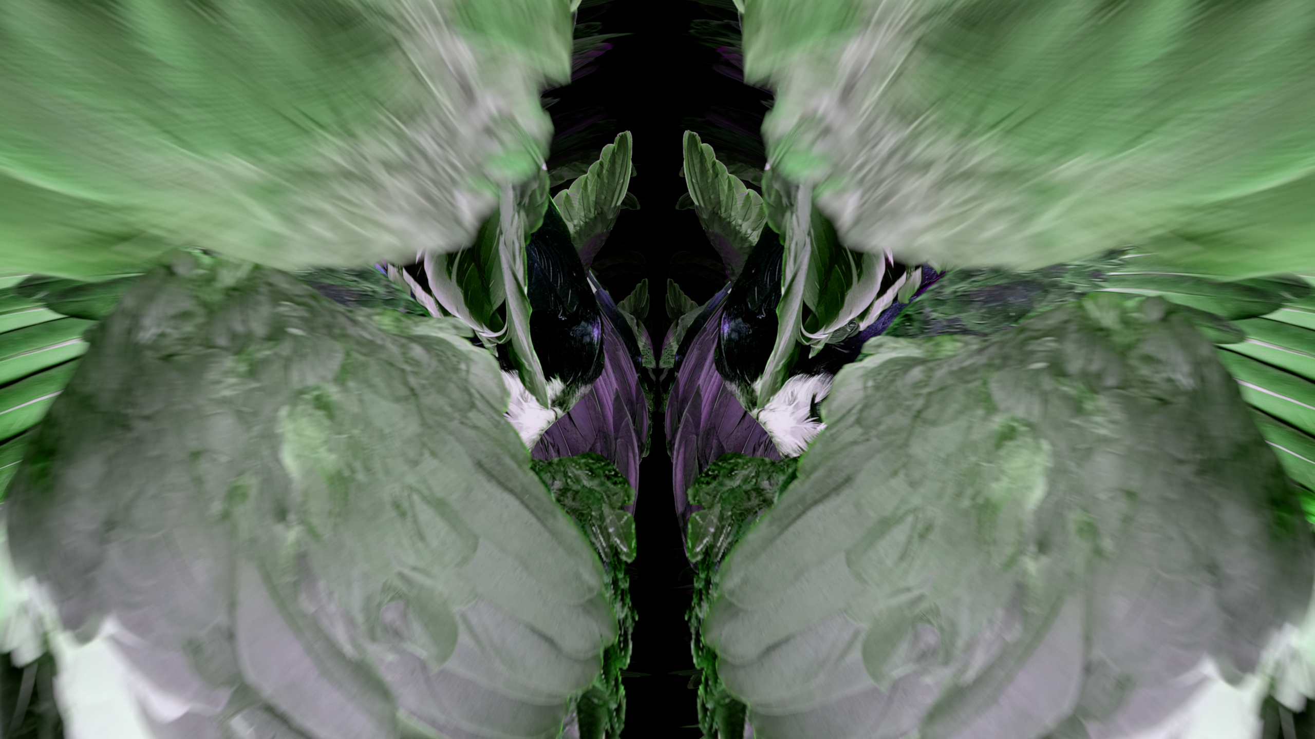 Fuga delle Sirene LXIX