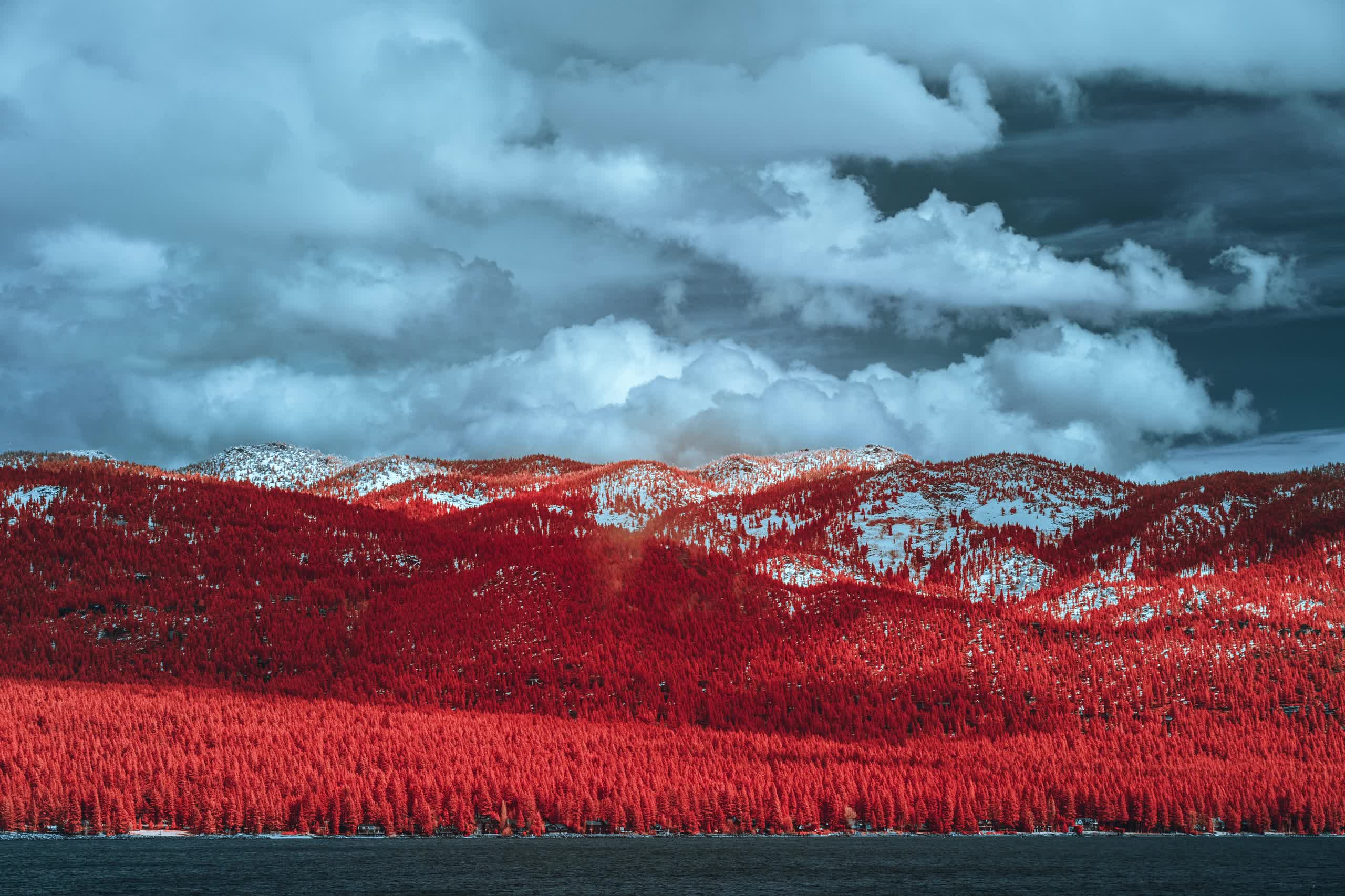 InfraMunk tempus TH 21 #50/100