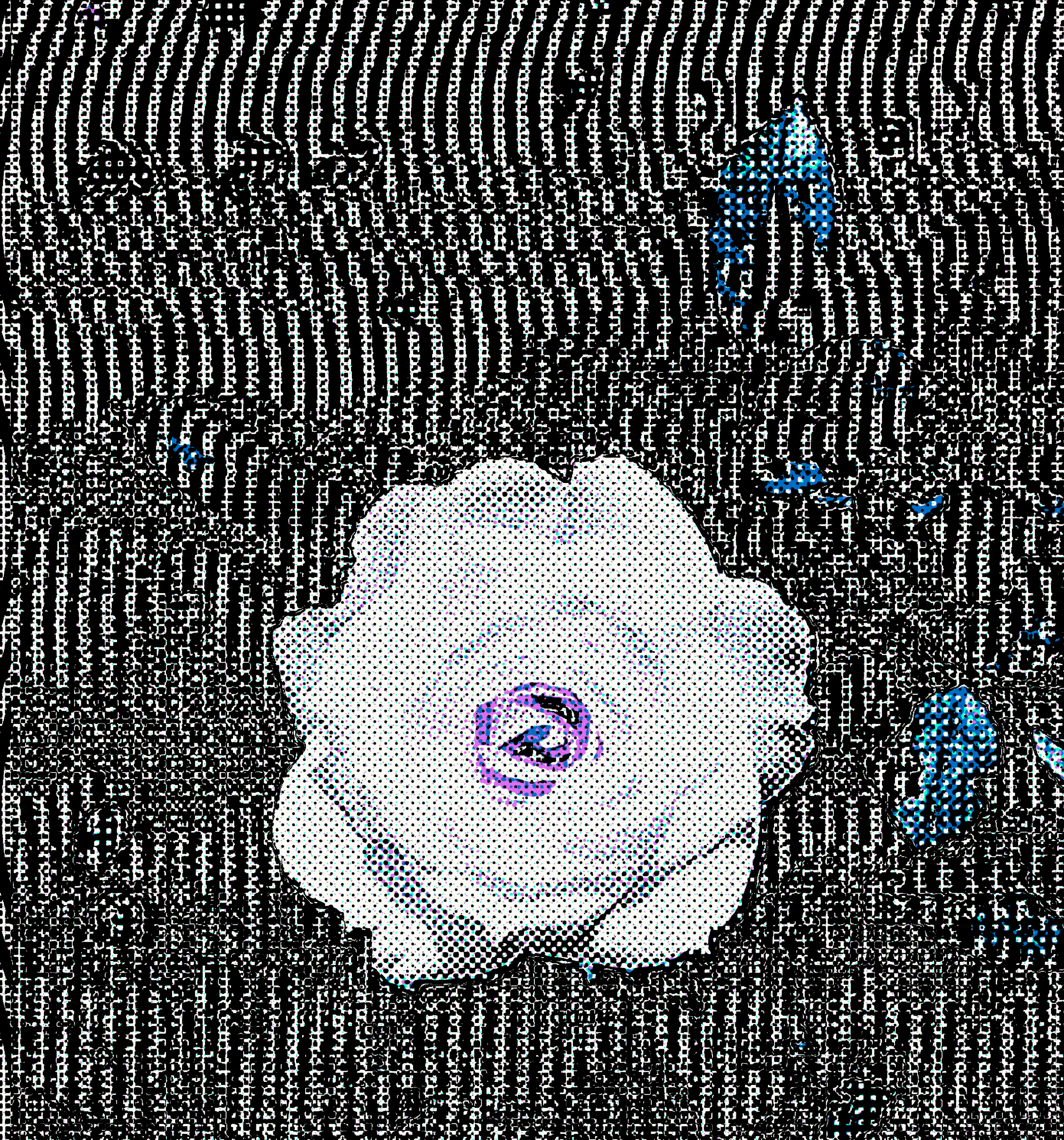 GM 8.2