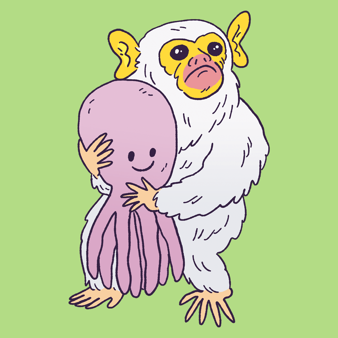 Silvery Marmoset #72