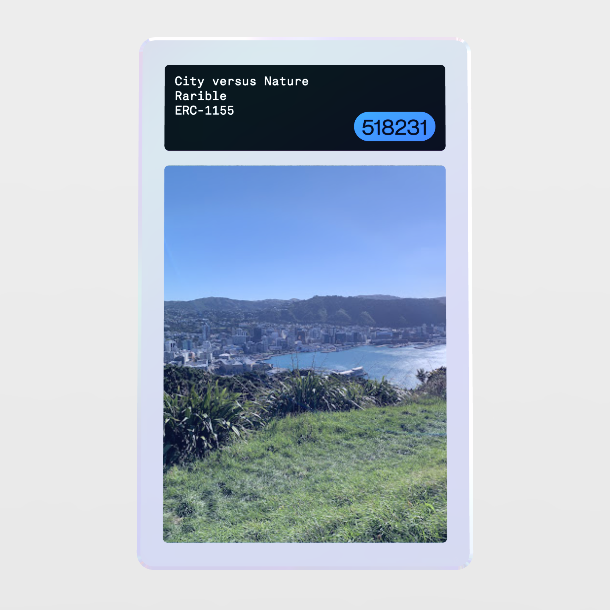 Minter Token - Rarible #518231