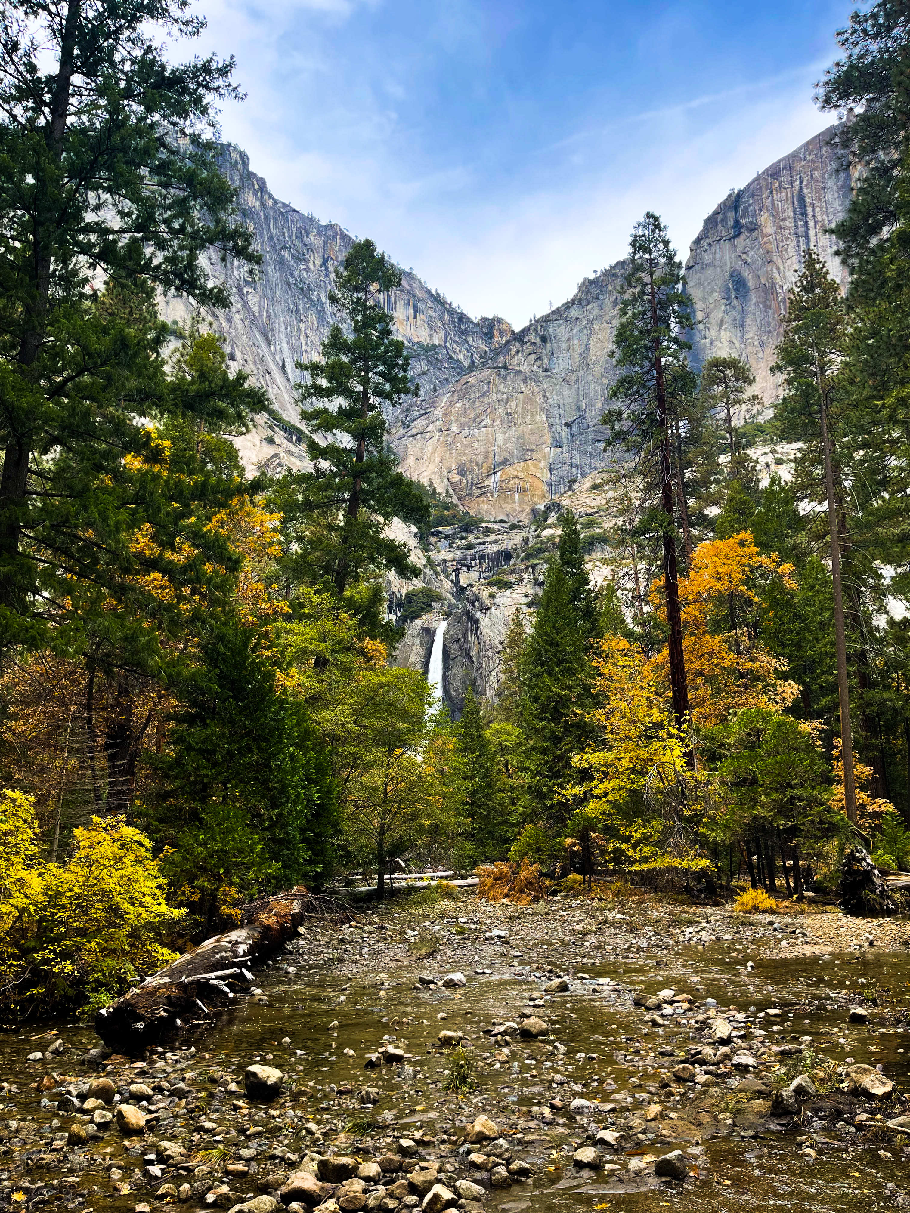 Yose Yellow Highlights