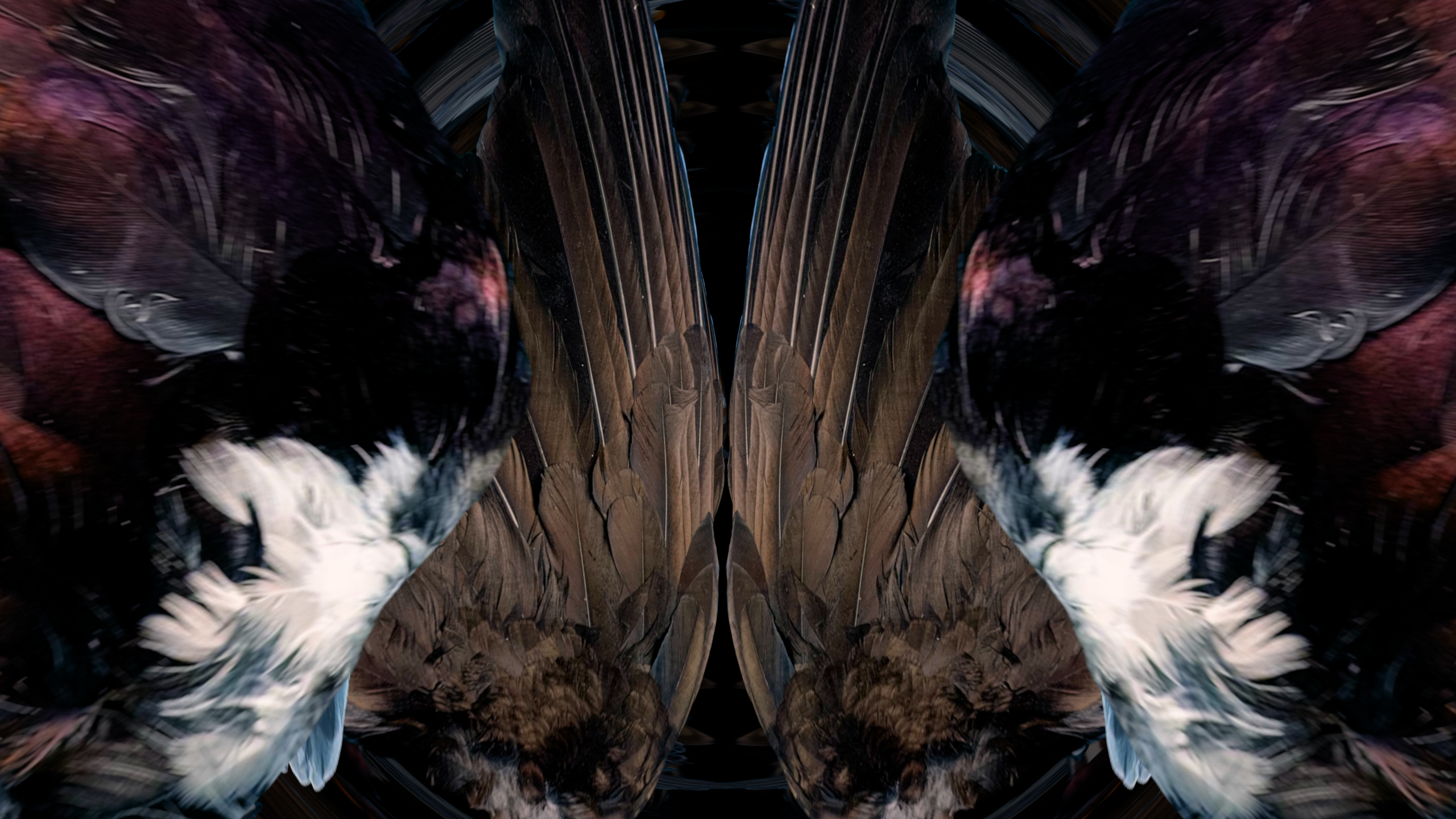 Fuga delle Sirene XXXV