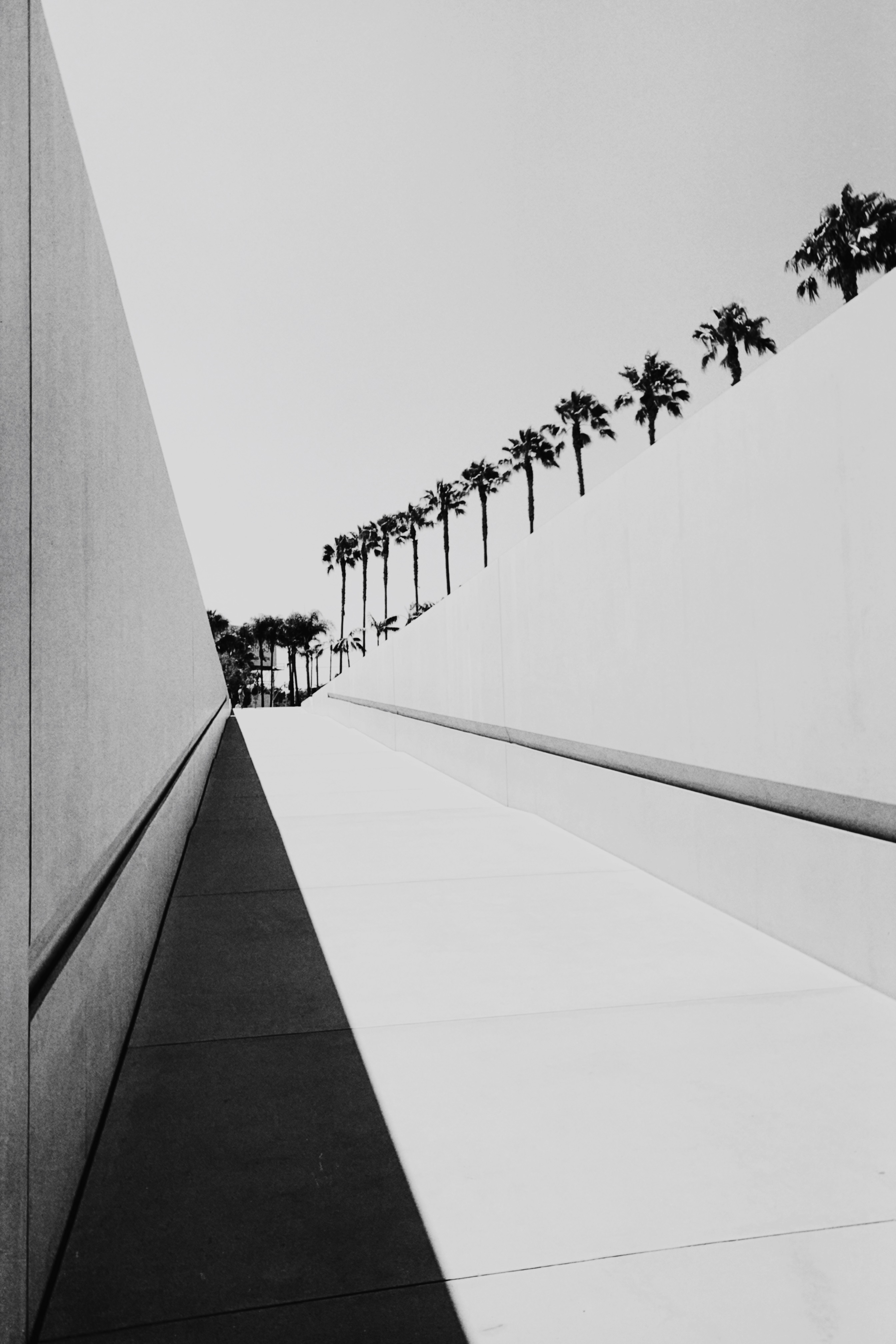 Black and white cities // LA