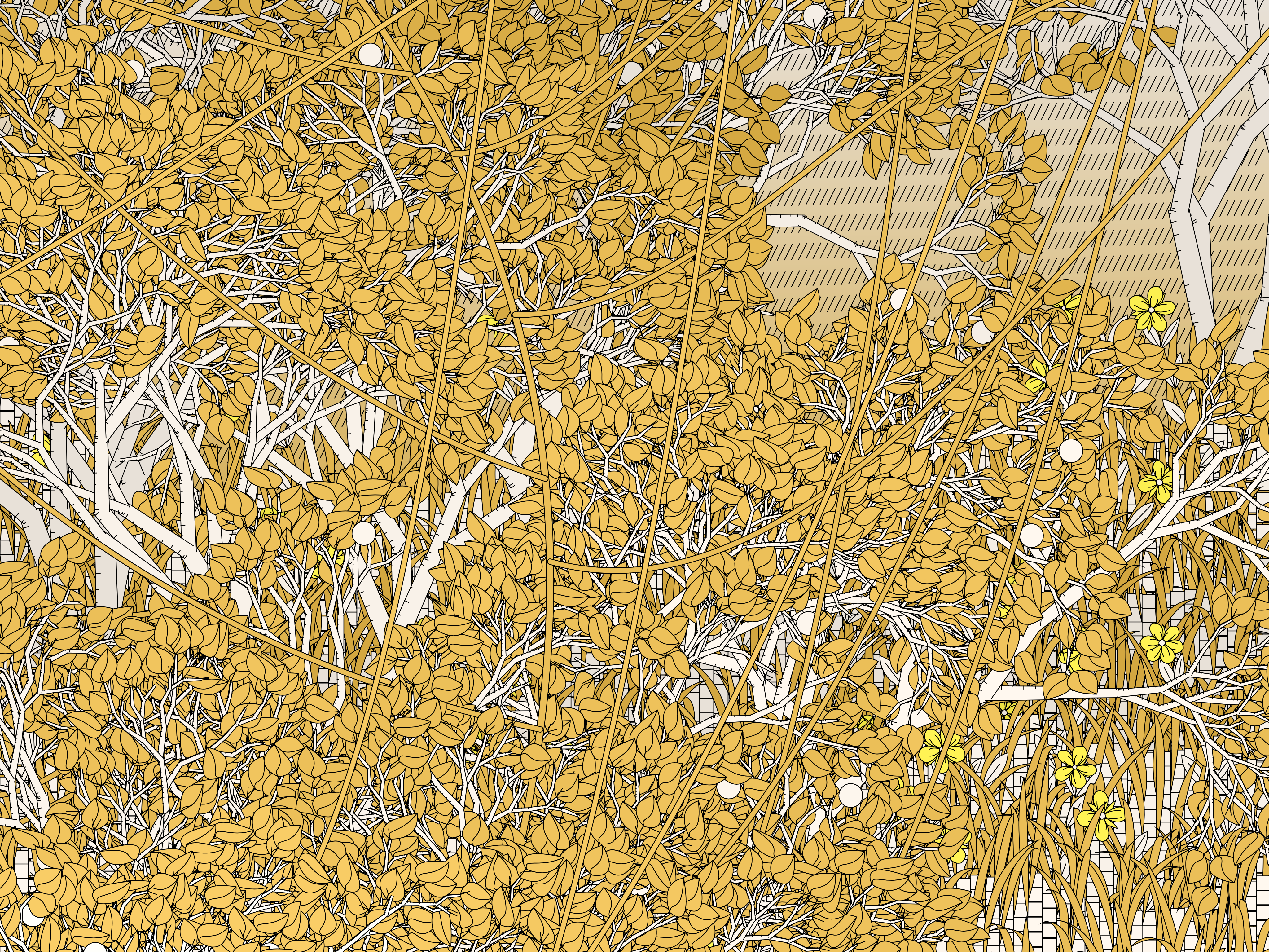 Entangled #462