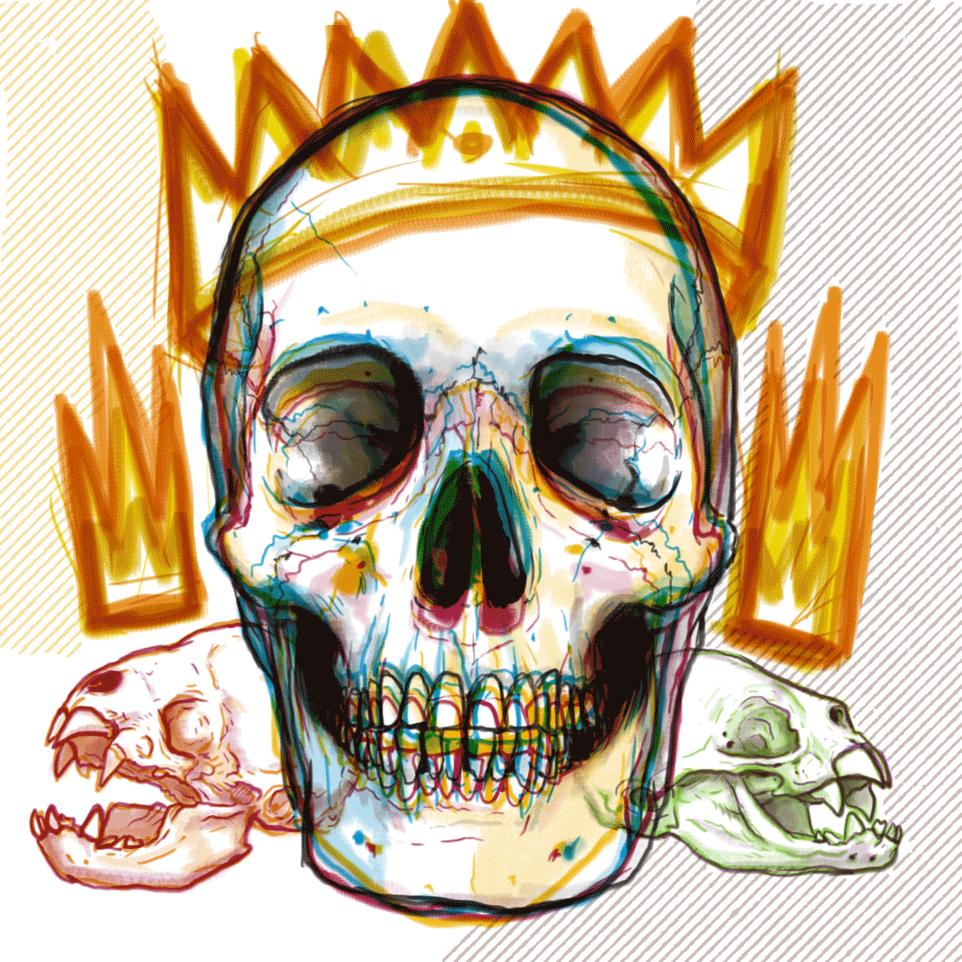 HC-OC43