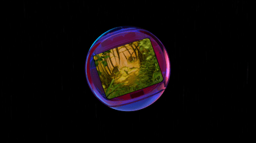 Forest Transmission #69