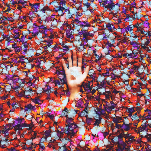 love and flowers