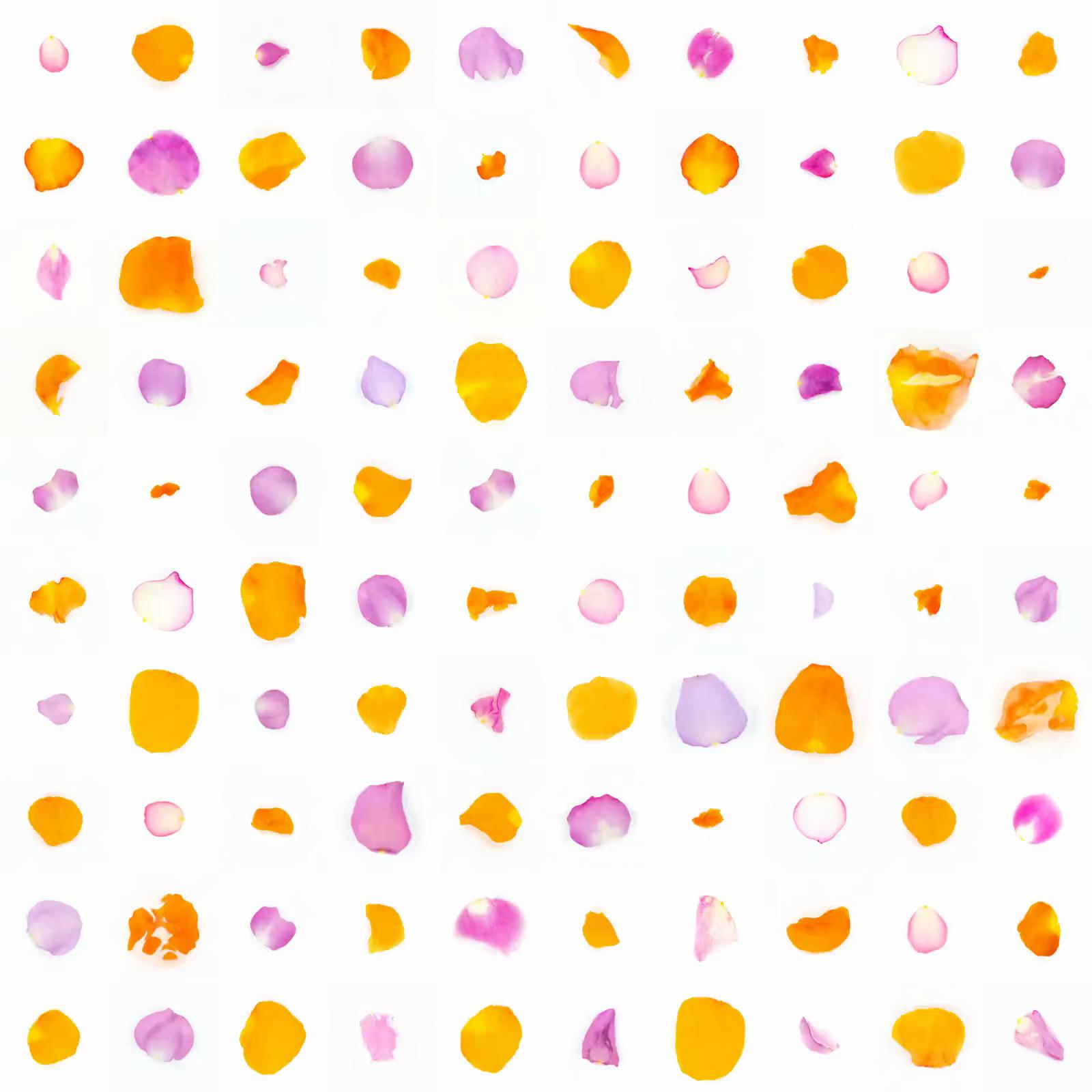 Infinite Petals 10x10#418