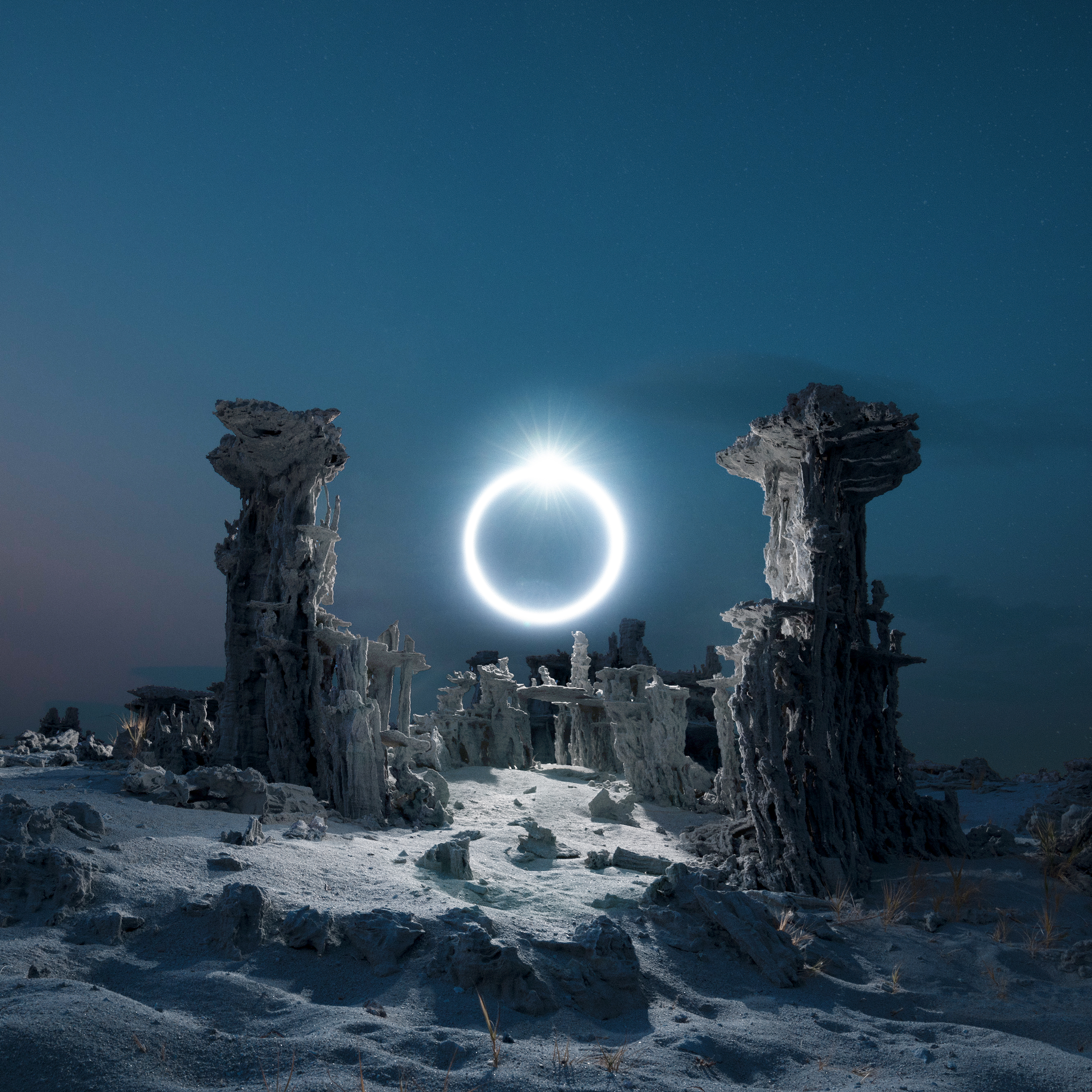 Fourteenth Century Series #19