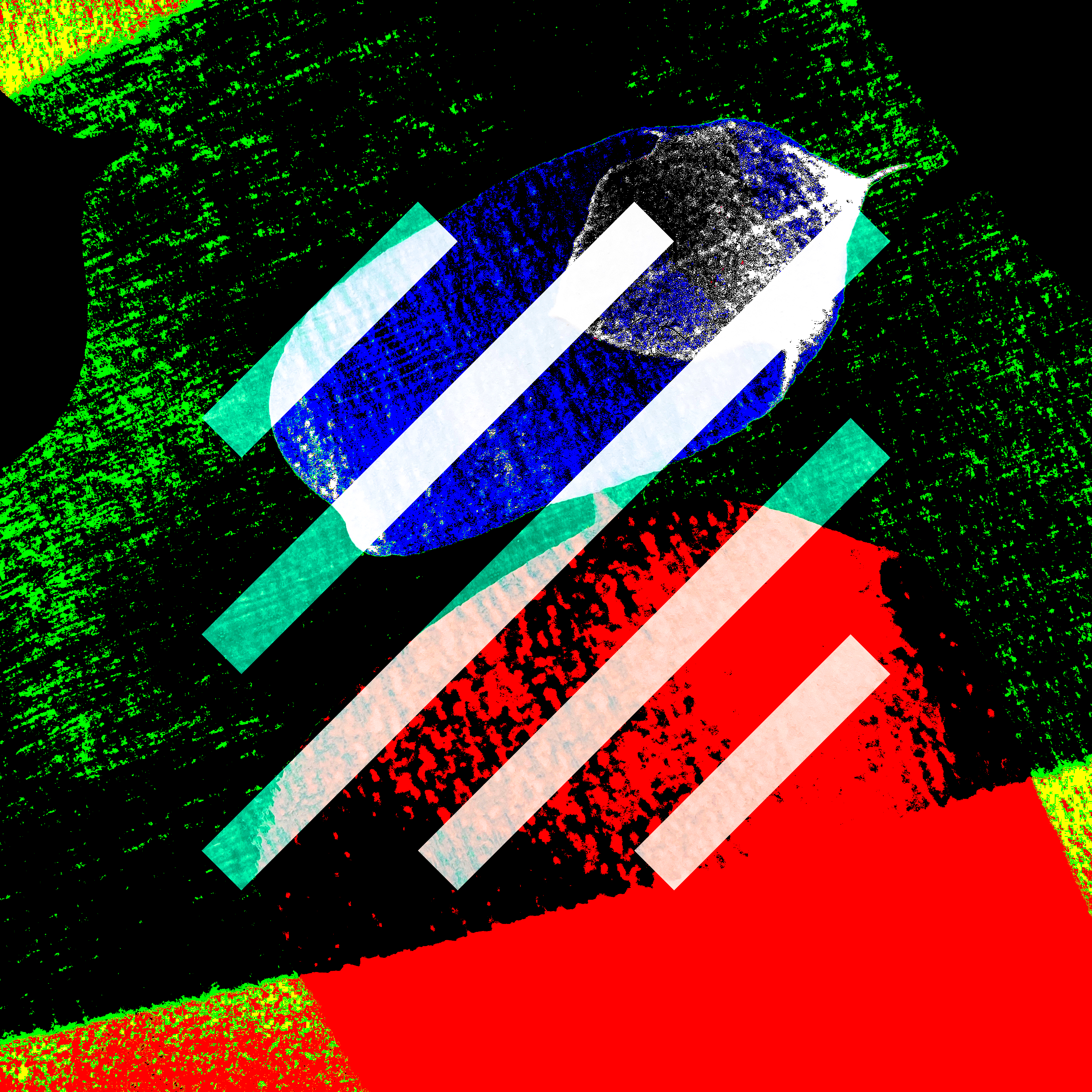 Decal by Keiko Kitahara #66